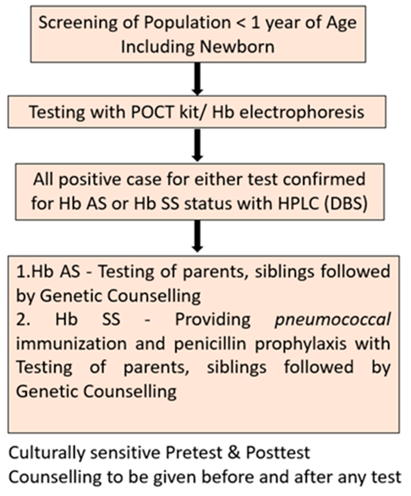 Preprints 113949 g005