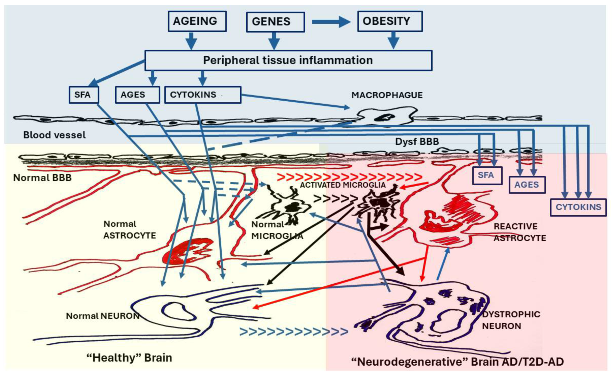 Preprints 106075 g003
