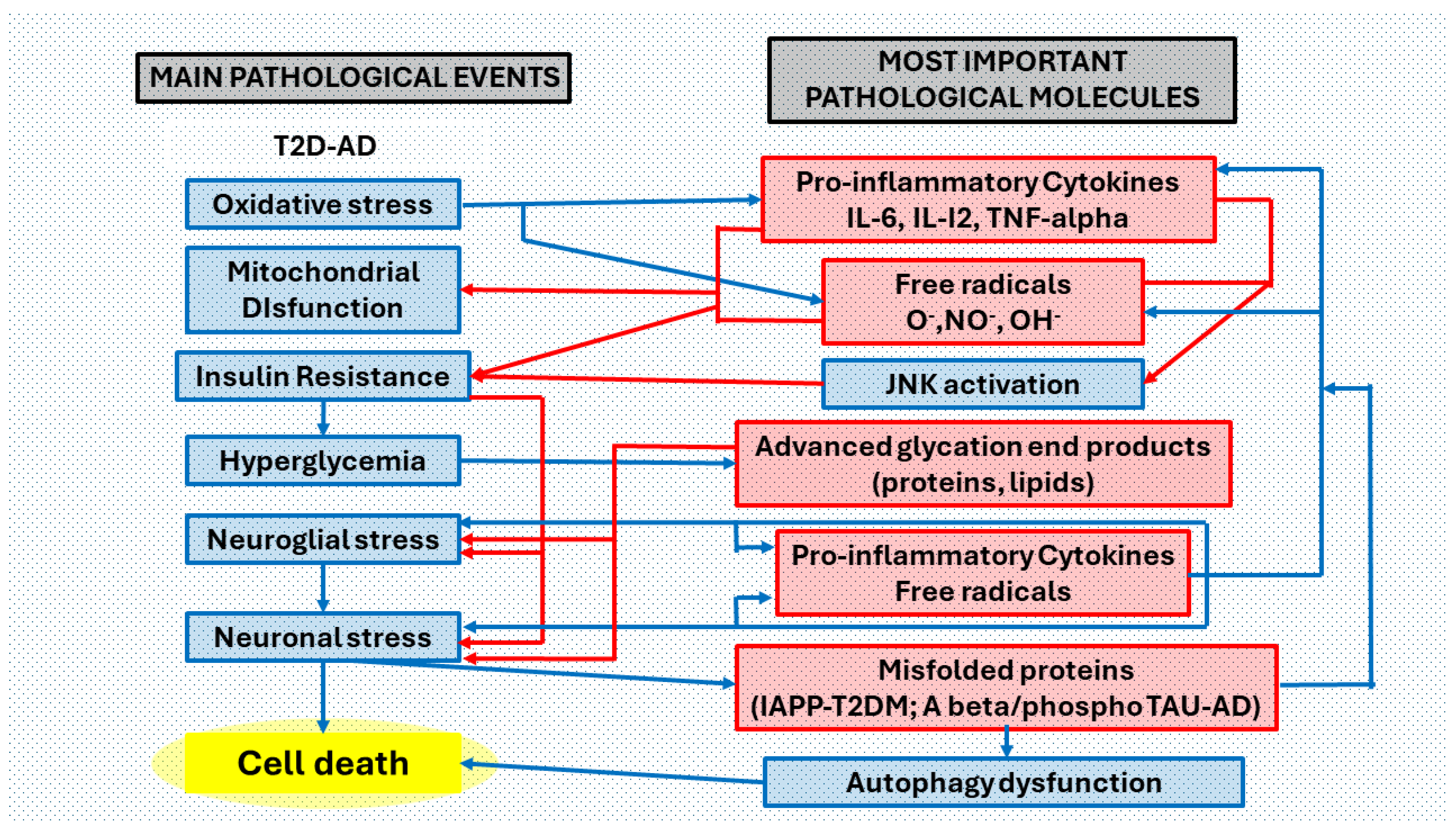 Preprints 106075 g005