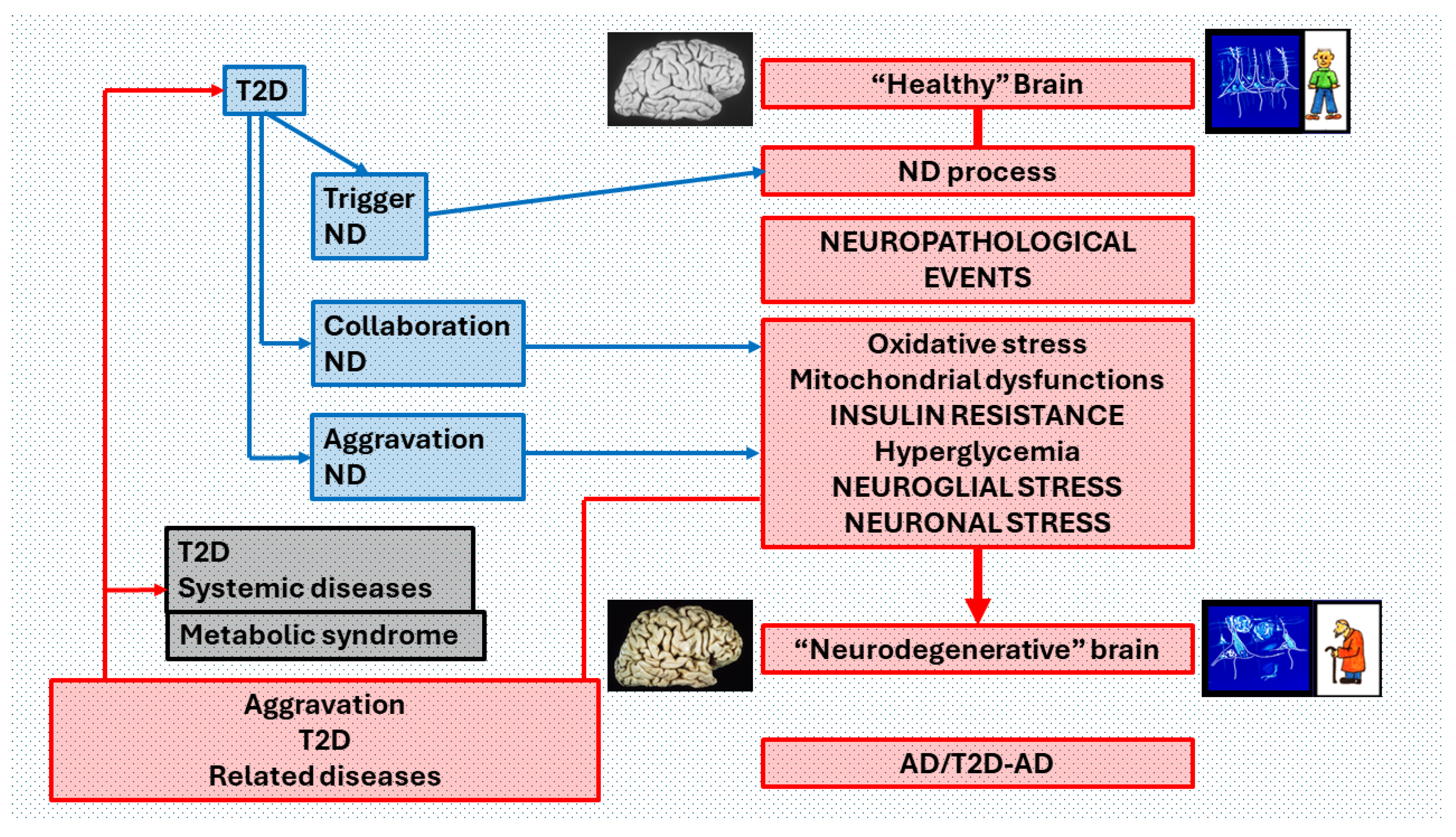 Preprints 106075 g006