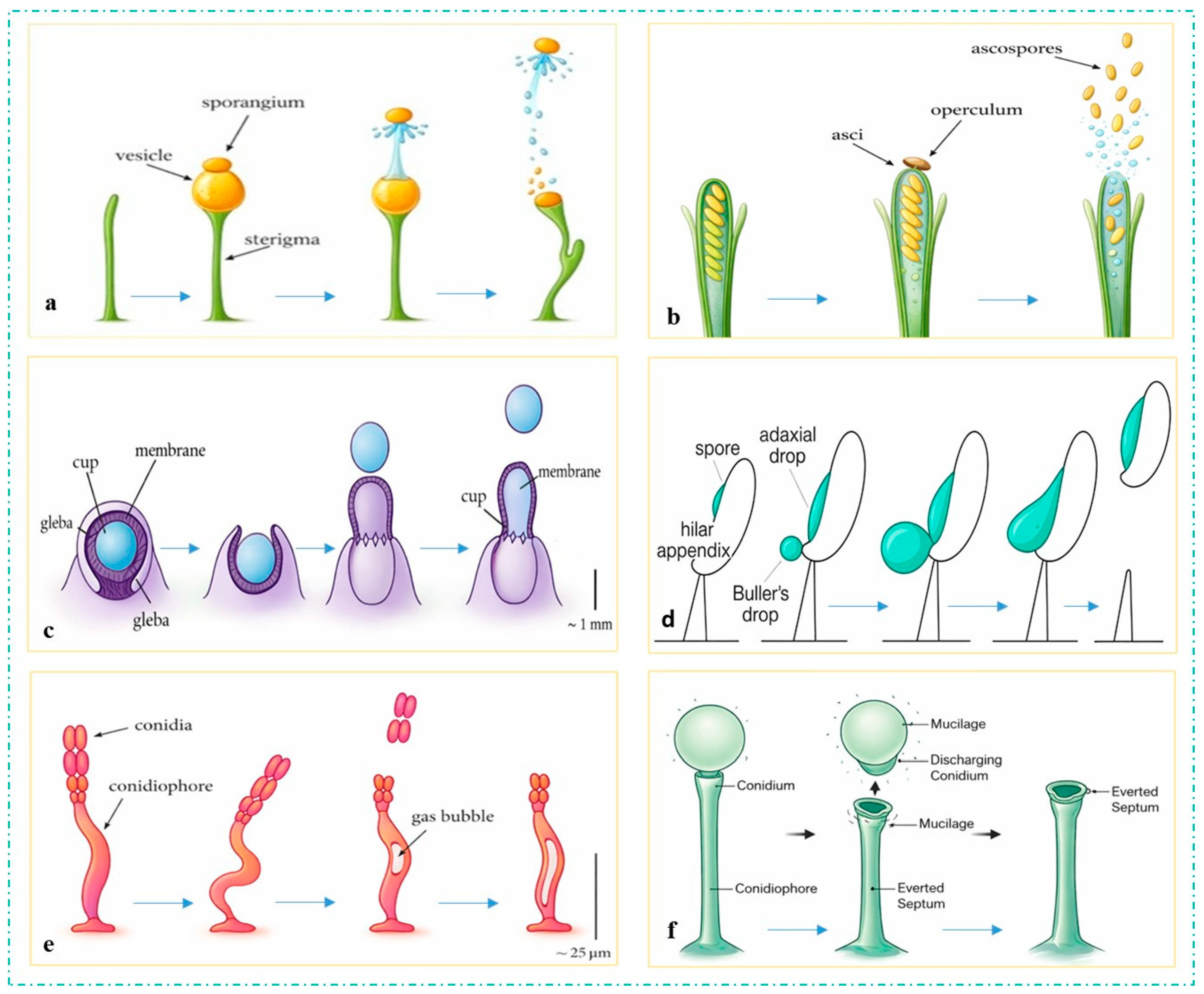 Preprints 208497 g001