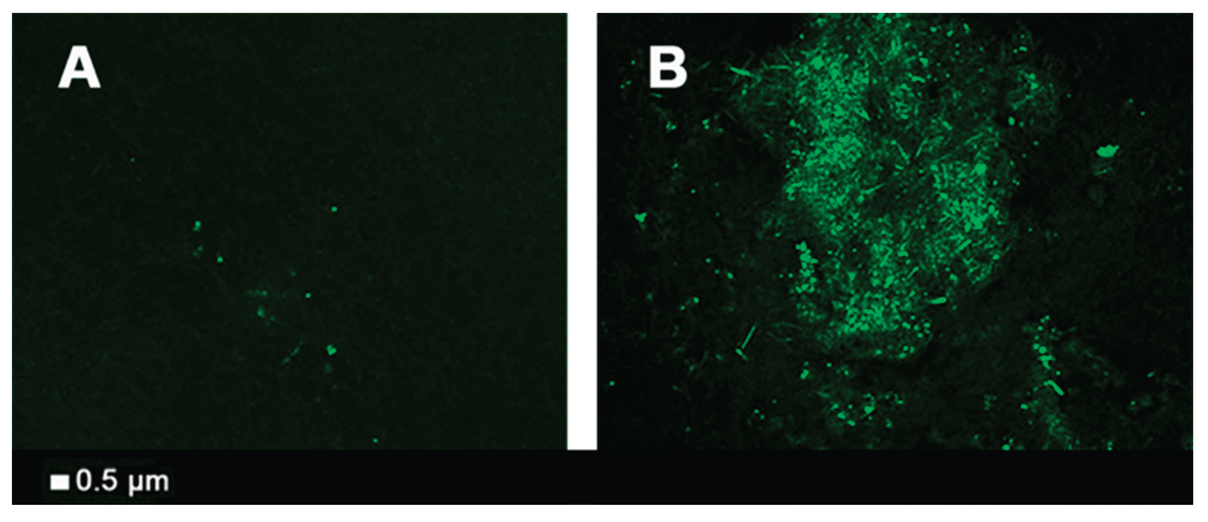 Preprints 173262 g001