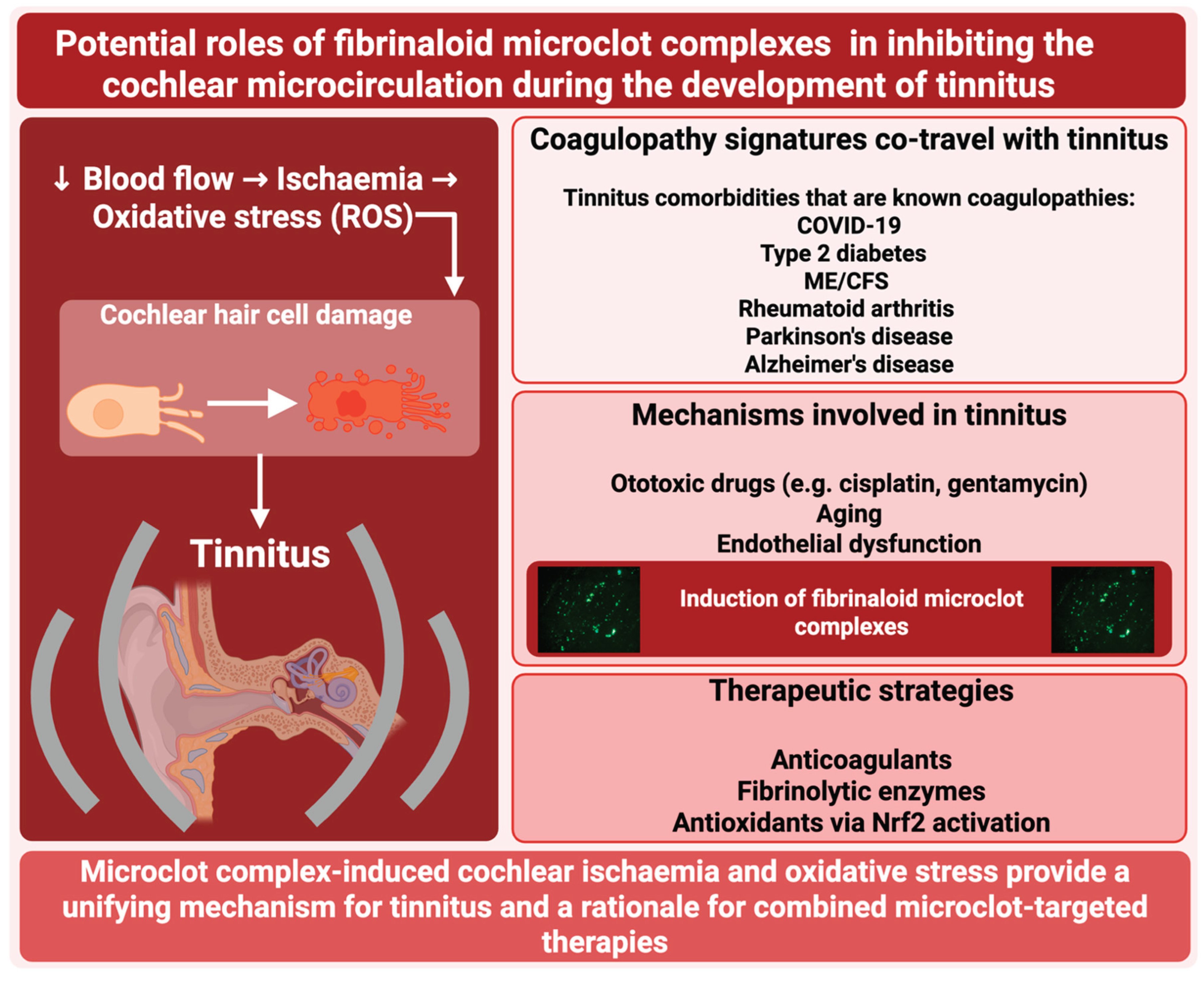 Preprints 173262 g002