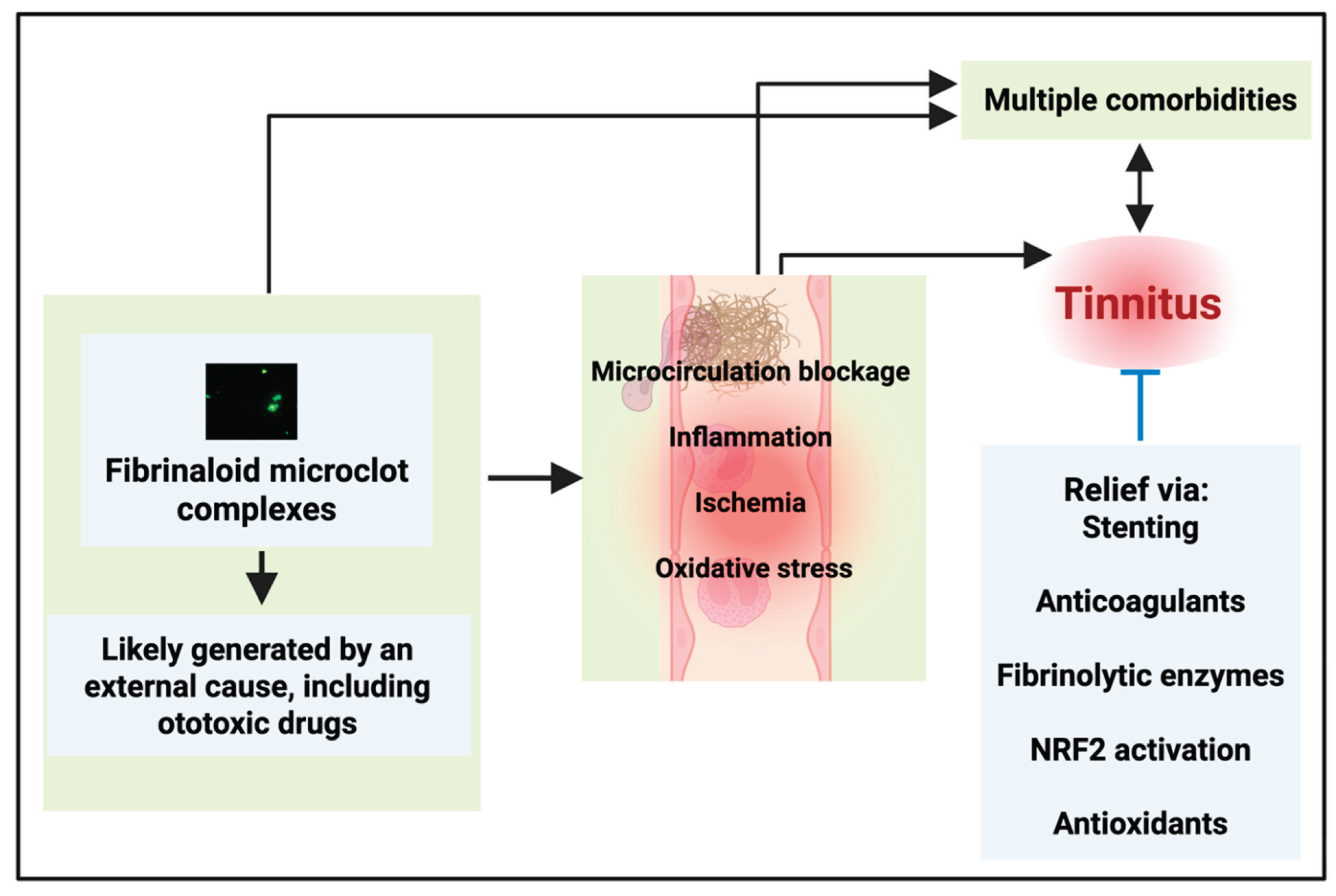 Preprints 173262 g003