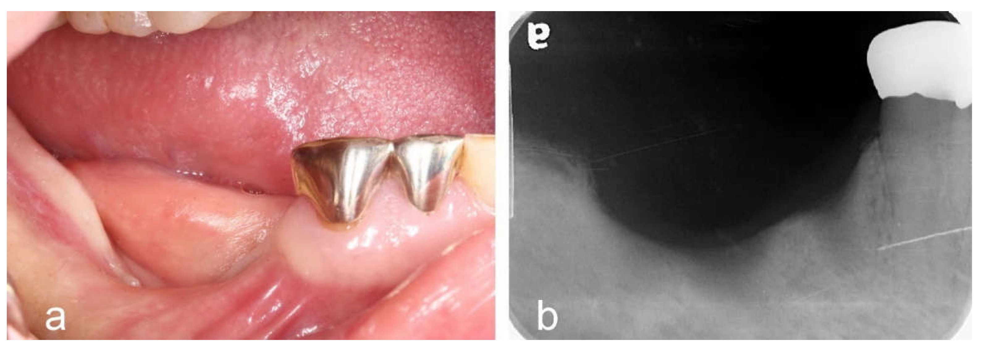 Preprints 153662 g001