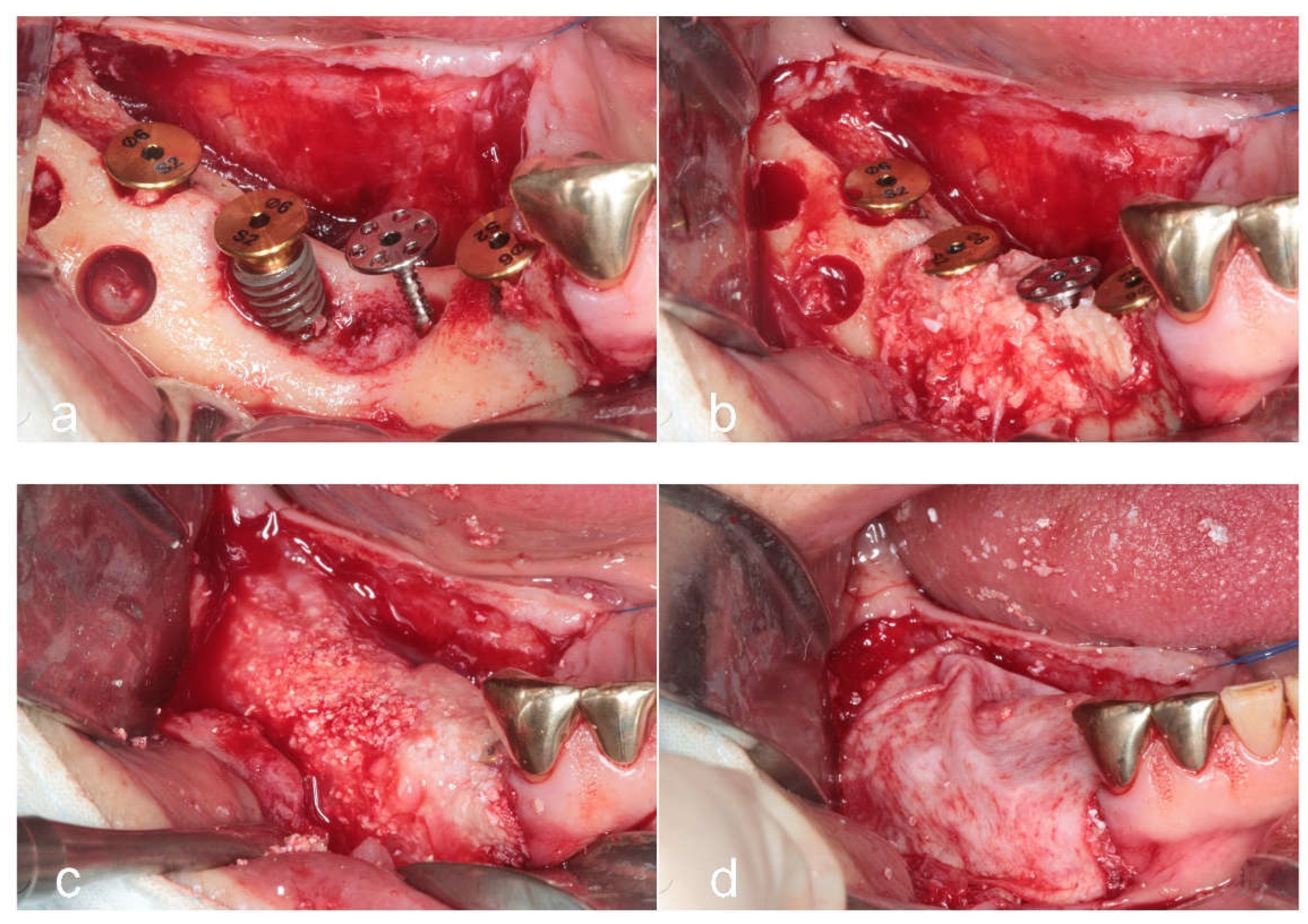 Preprints 153662 g002