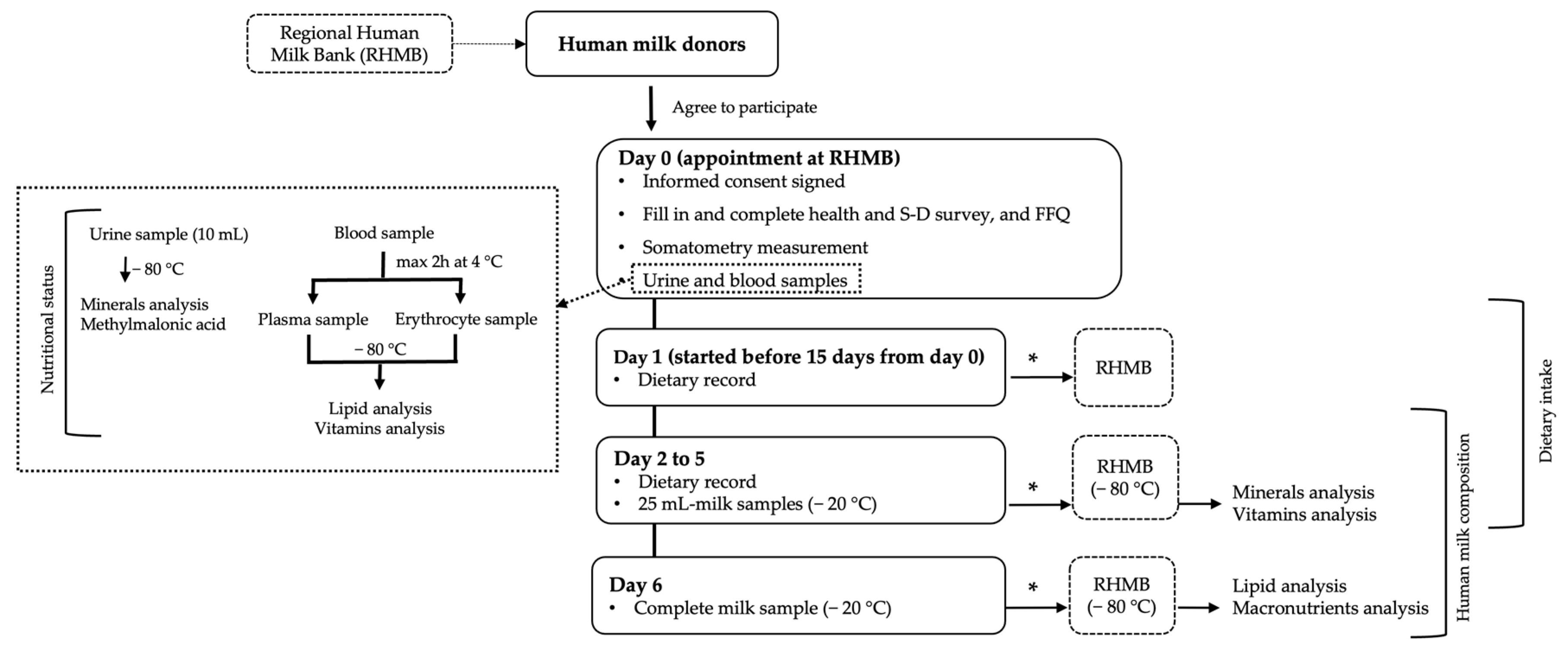 Preprints 77881 g001