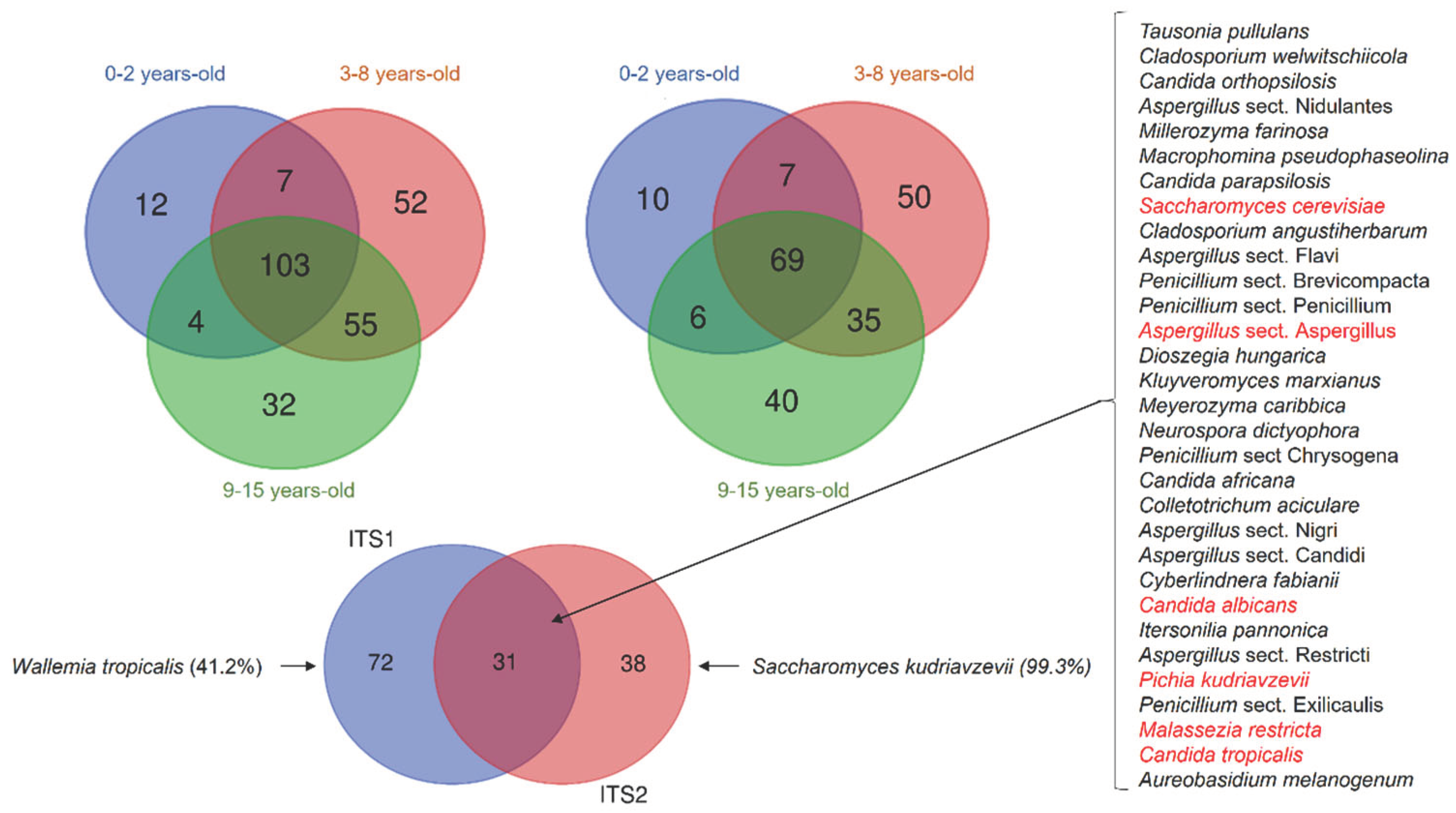 Preprints 100239 g004