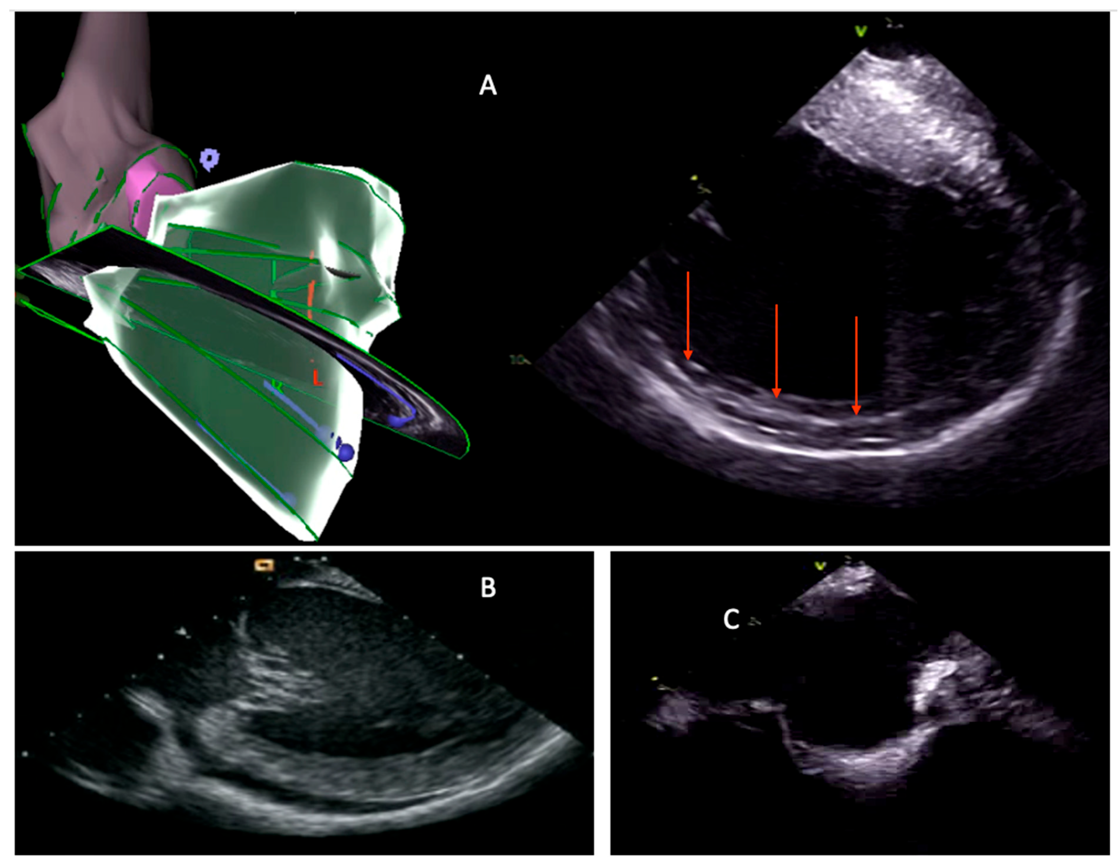 Preprints 168020 g003