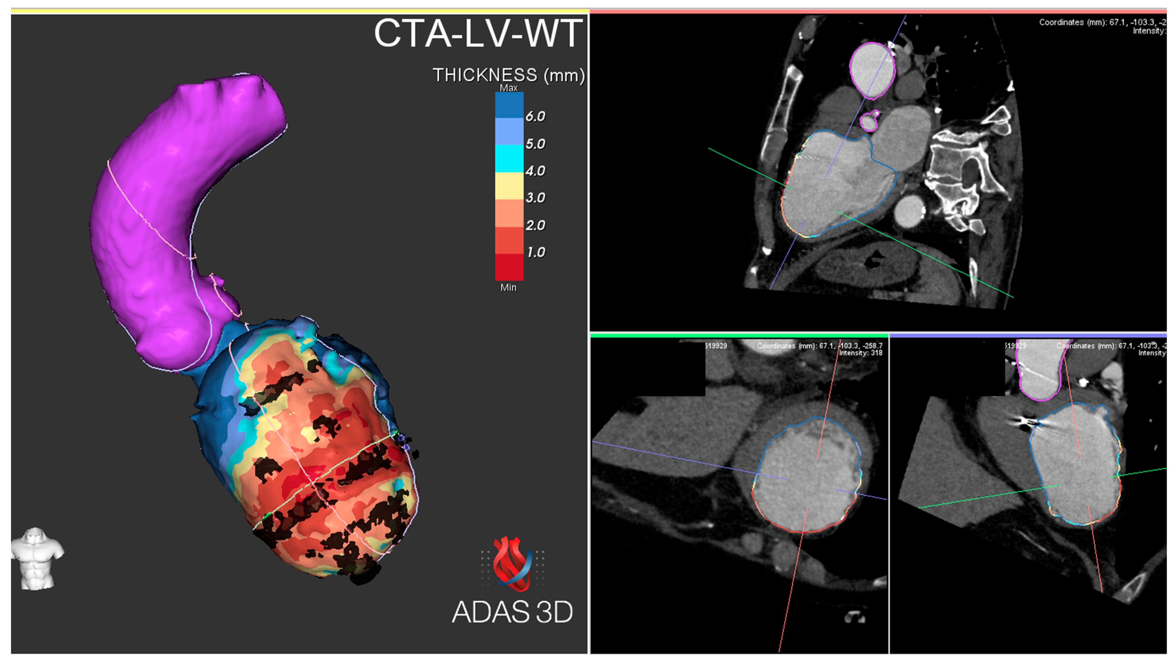 Preprints 168020 g004