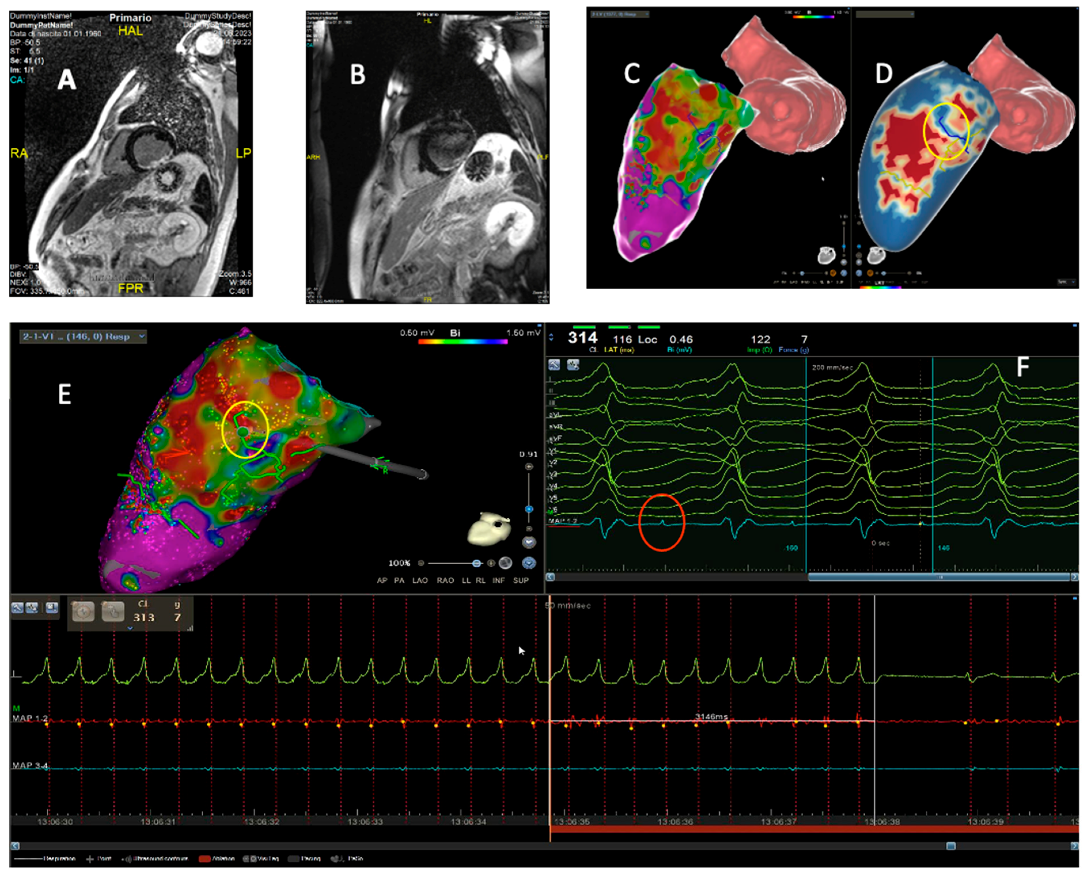 Preprints 168020 g005
