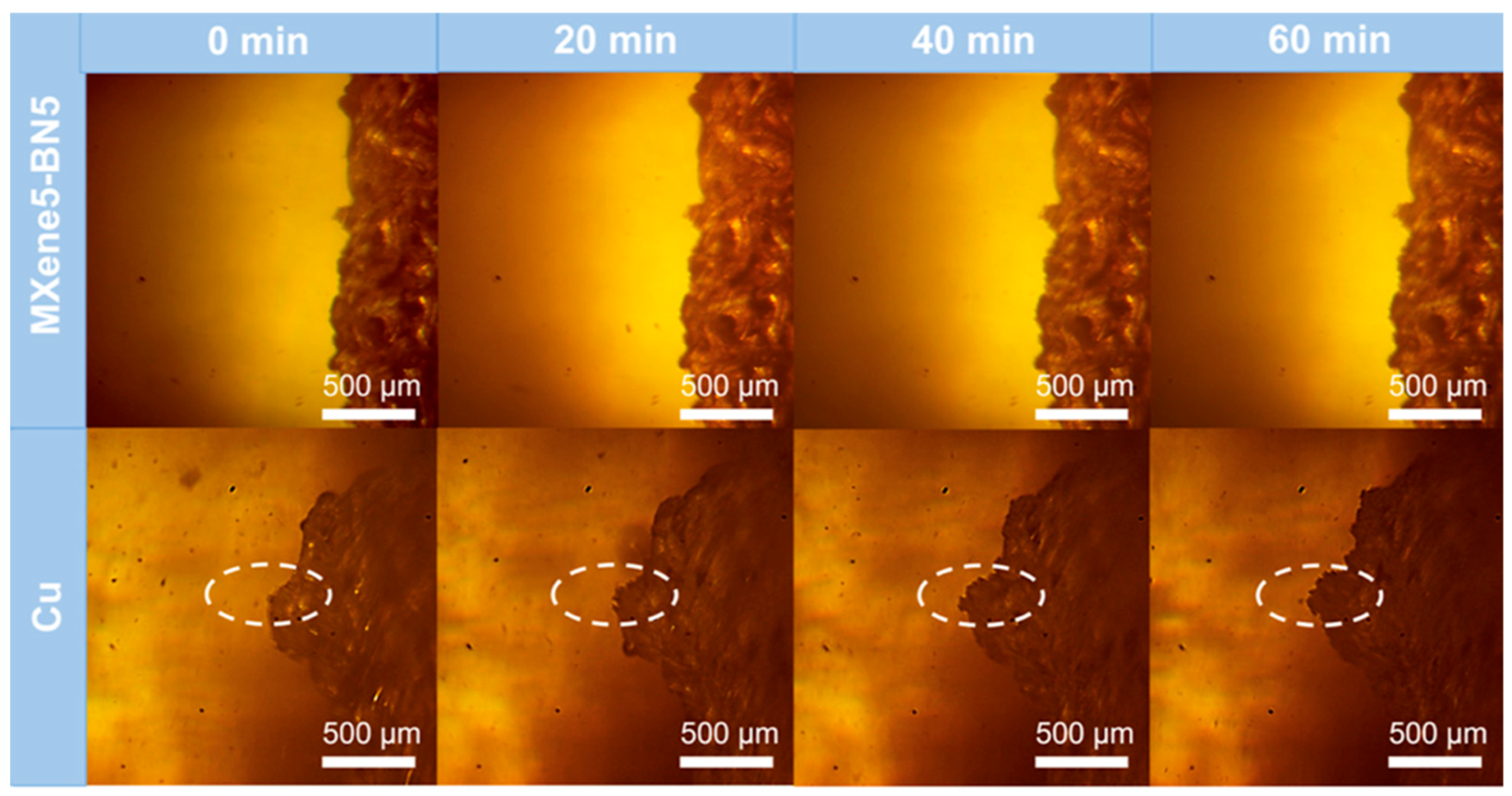 Preprints 174602 g003