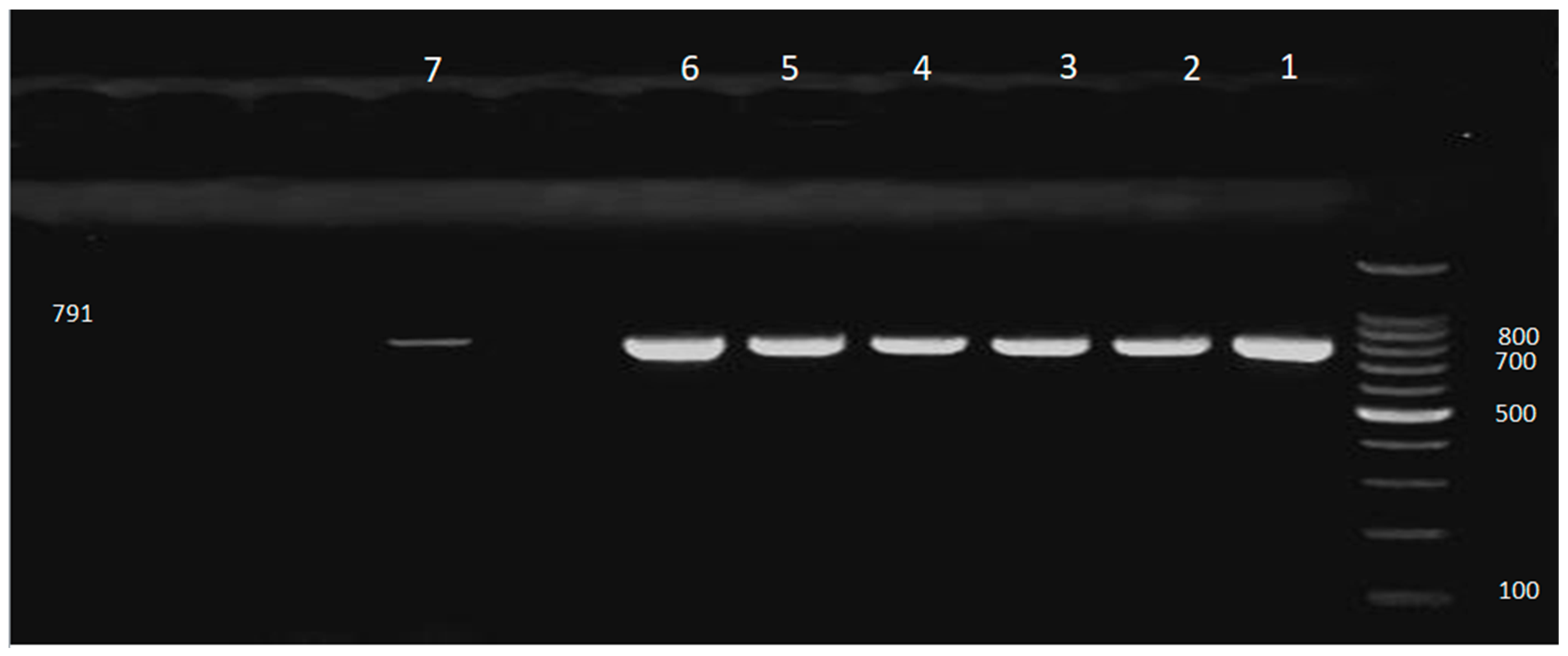 Preprints 232052 g001 Preprints 232052 g001