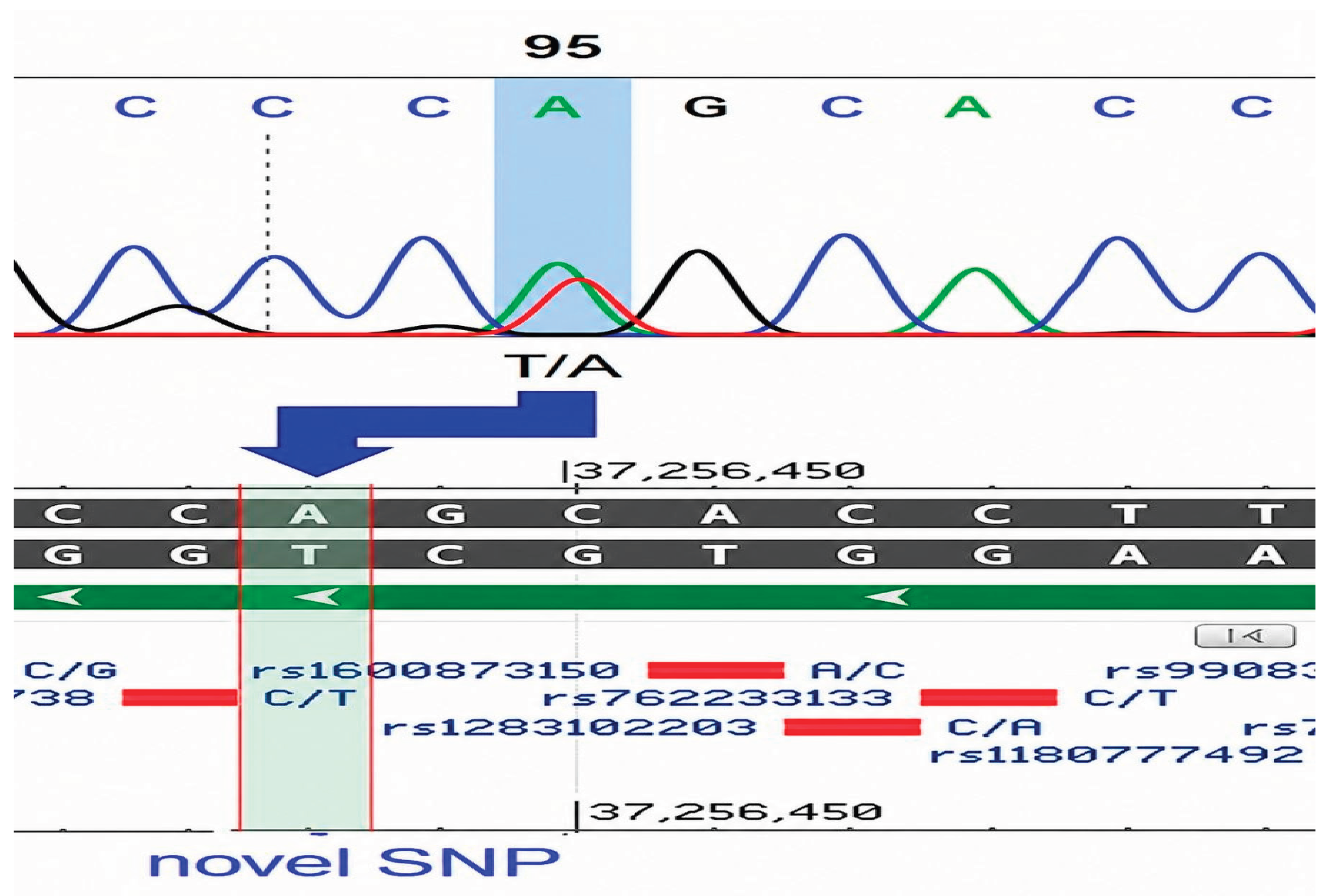Preprints 232052 g002 Preprints 232052 g002