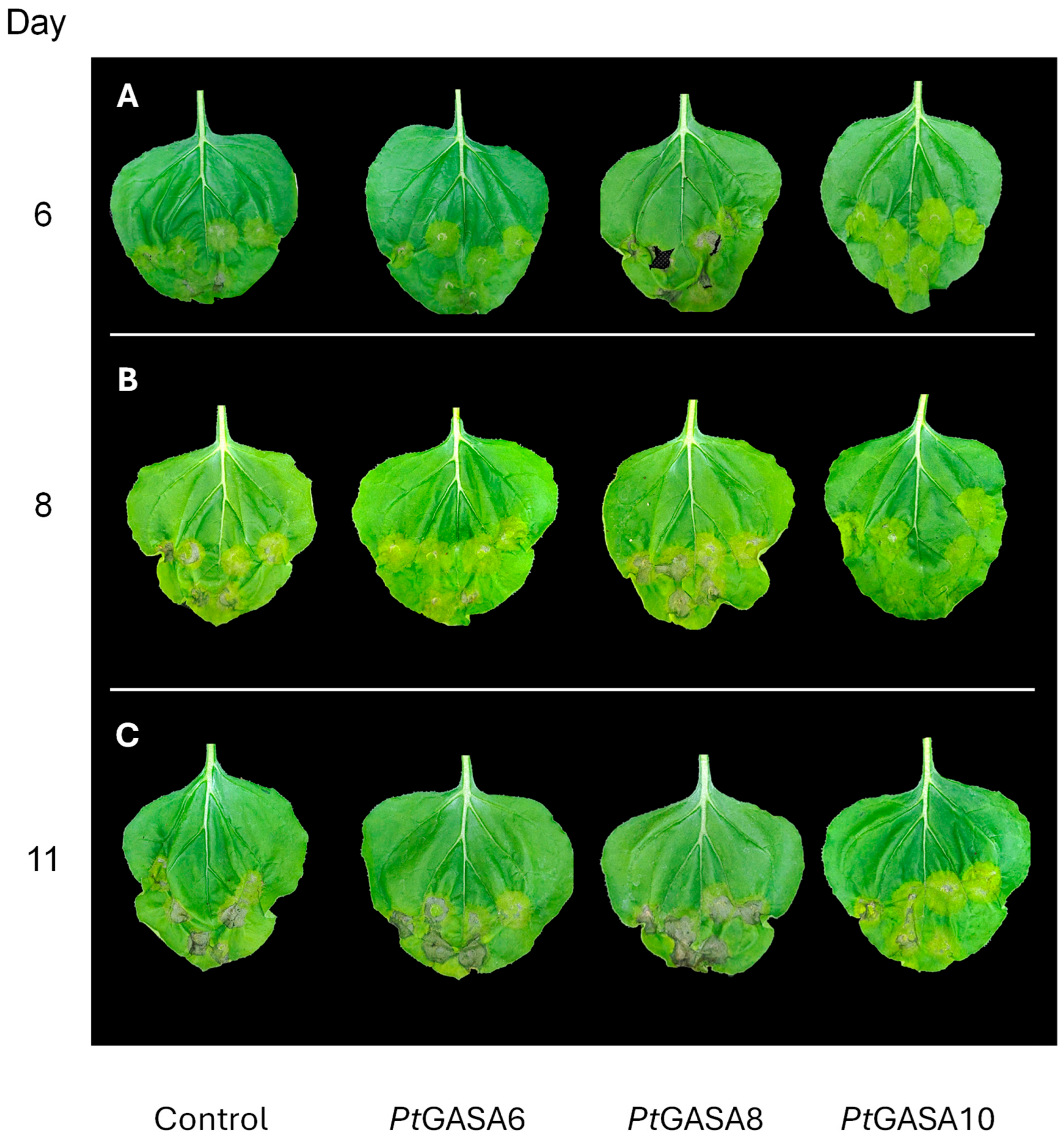 Preprints 187107 g007