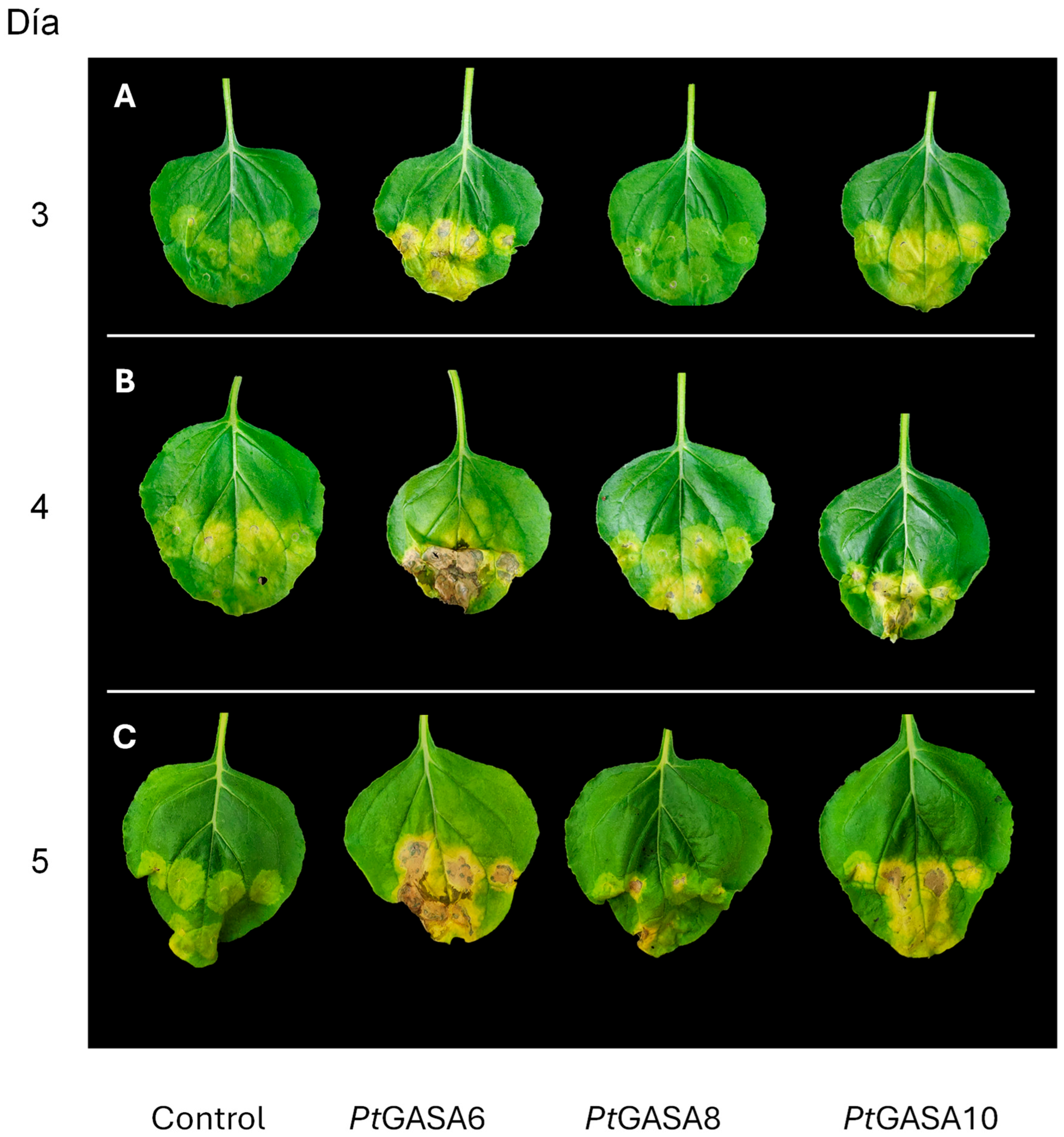 Preprints 187107 g010