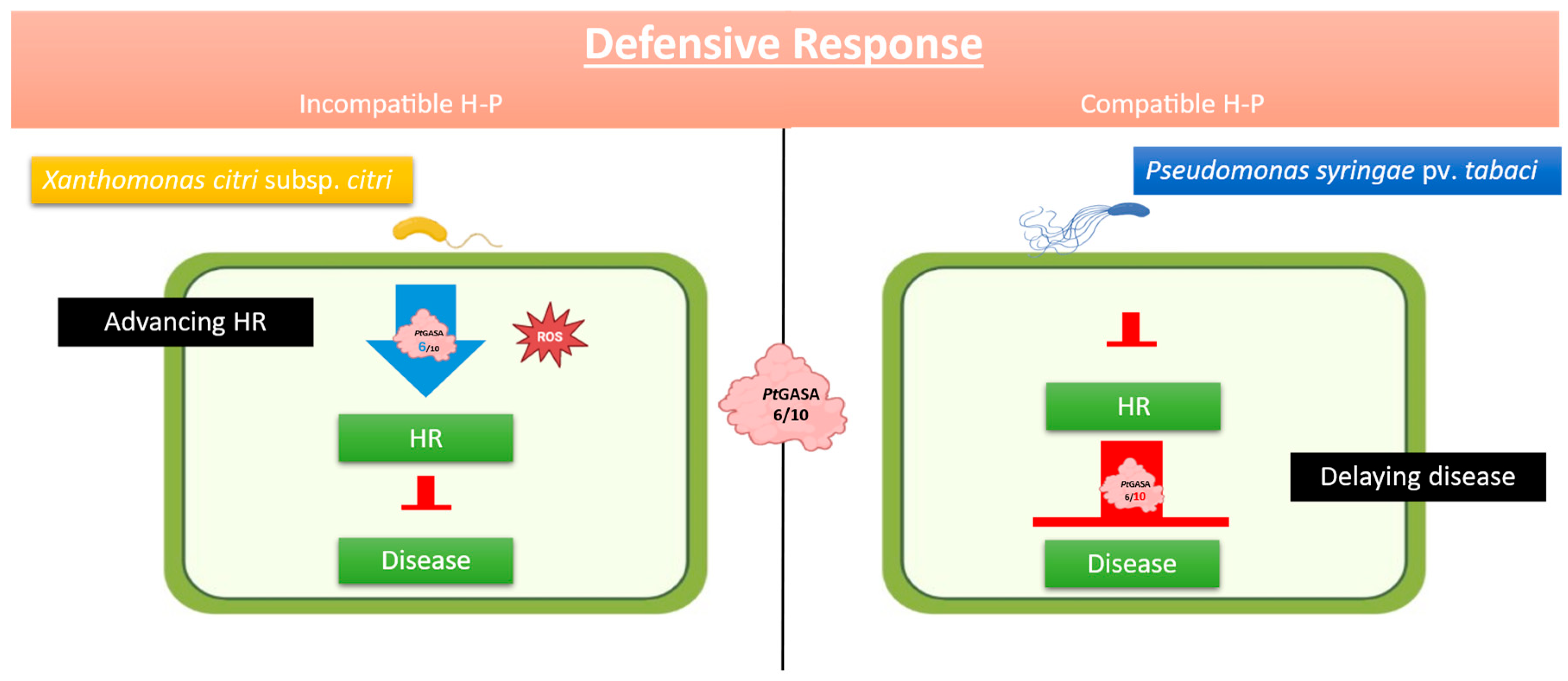 Preprints 187107 g013