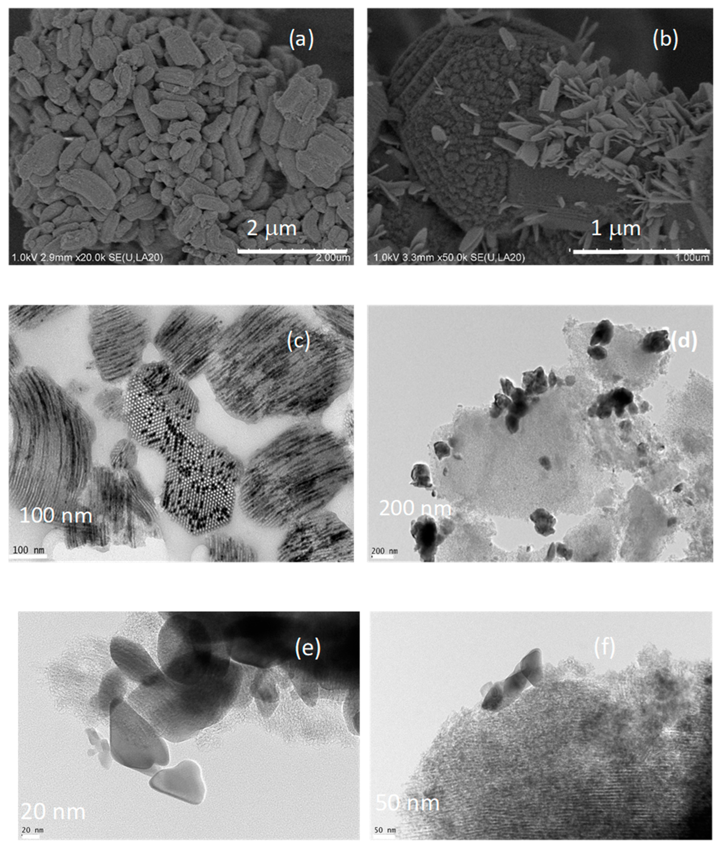 Preprints 139395 g003
