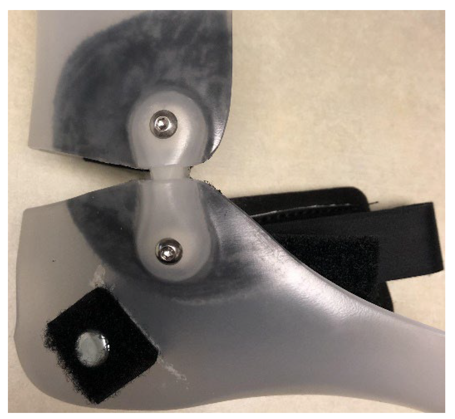 Preprints 148558 g001