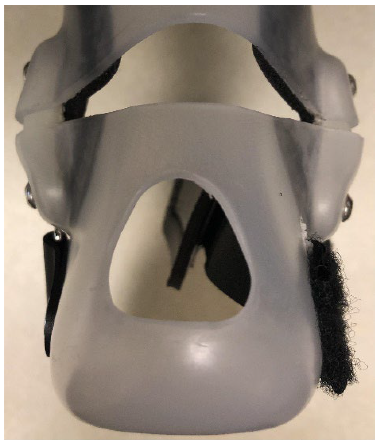 Preprints 148558 g002