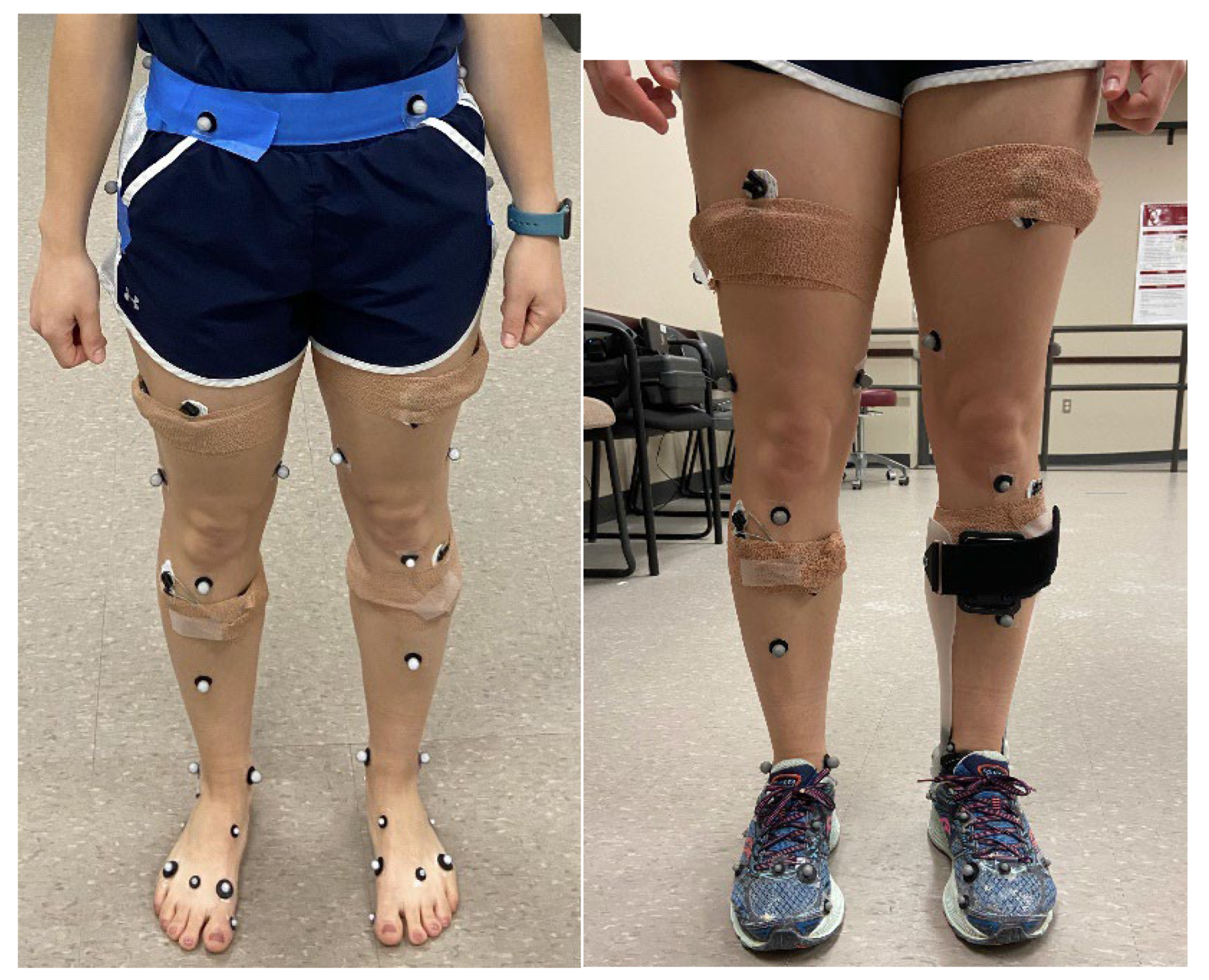 Preprints 148558 g003