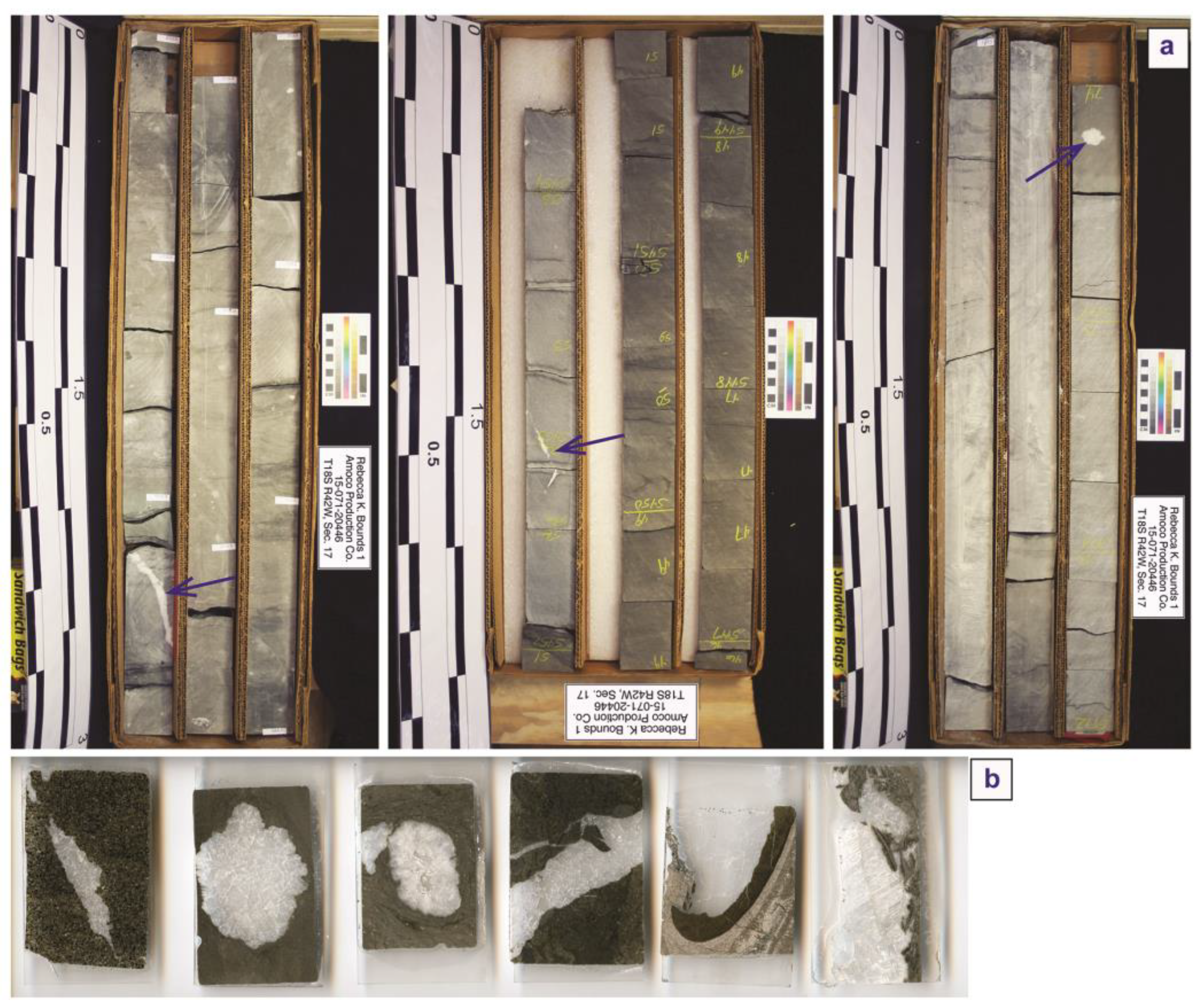 Preprints 175190 g004