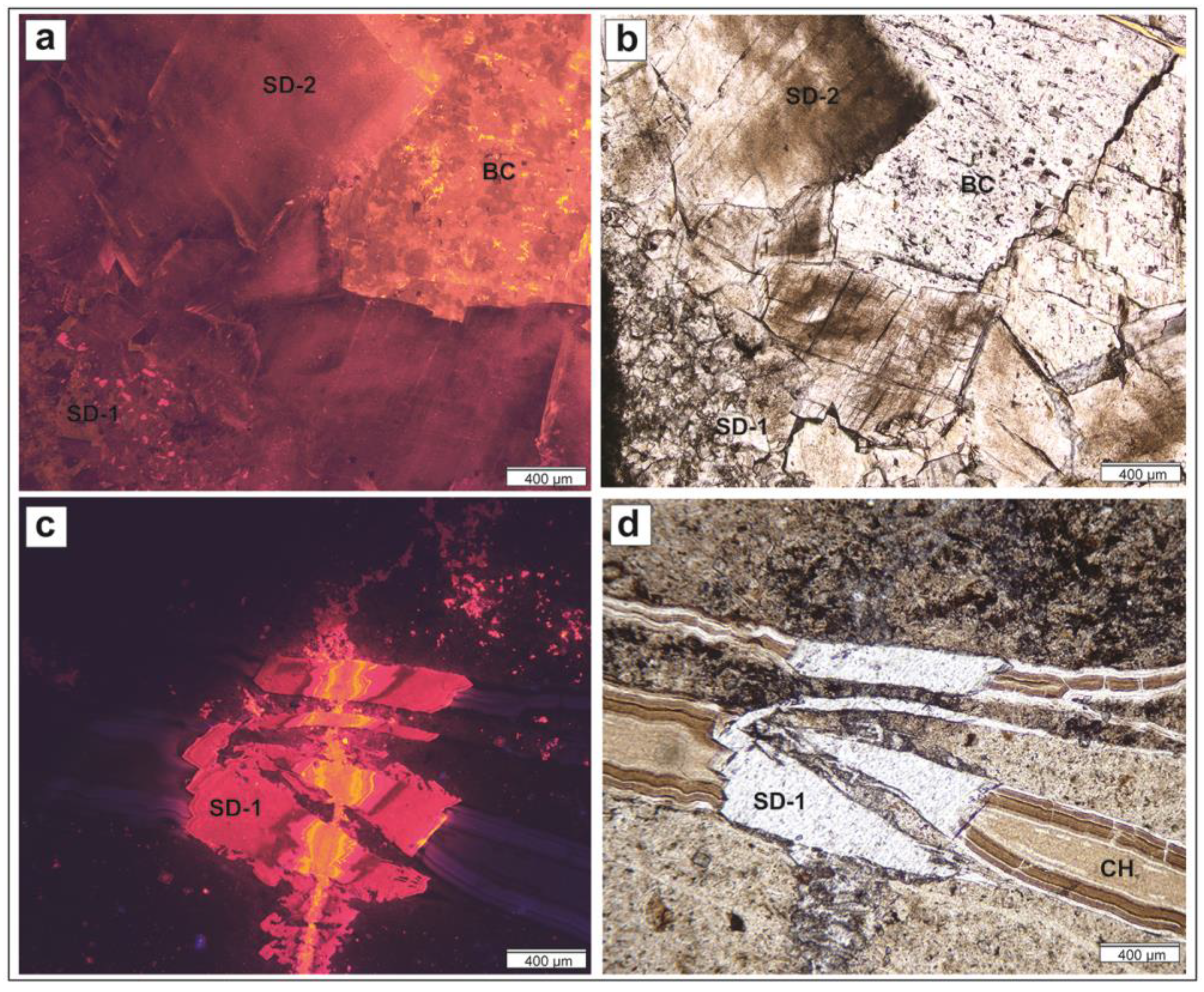 Preprints 175190 g006