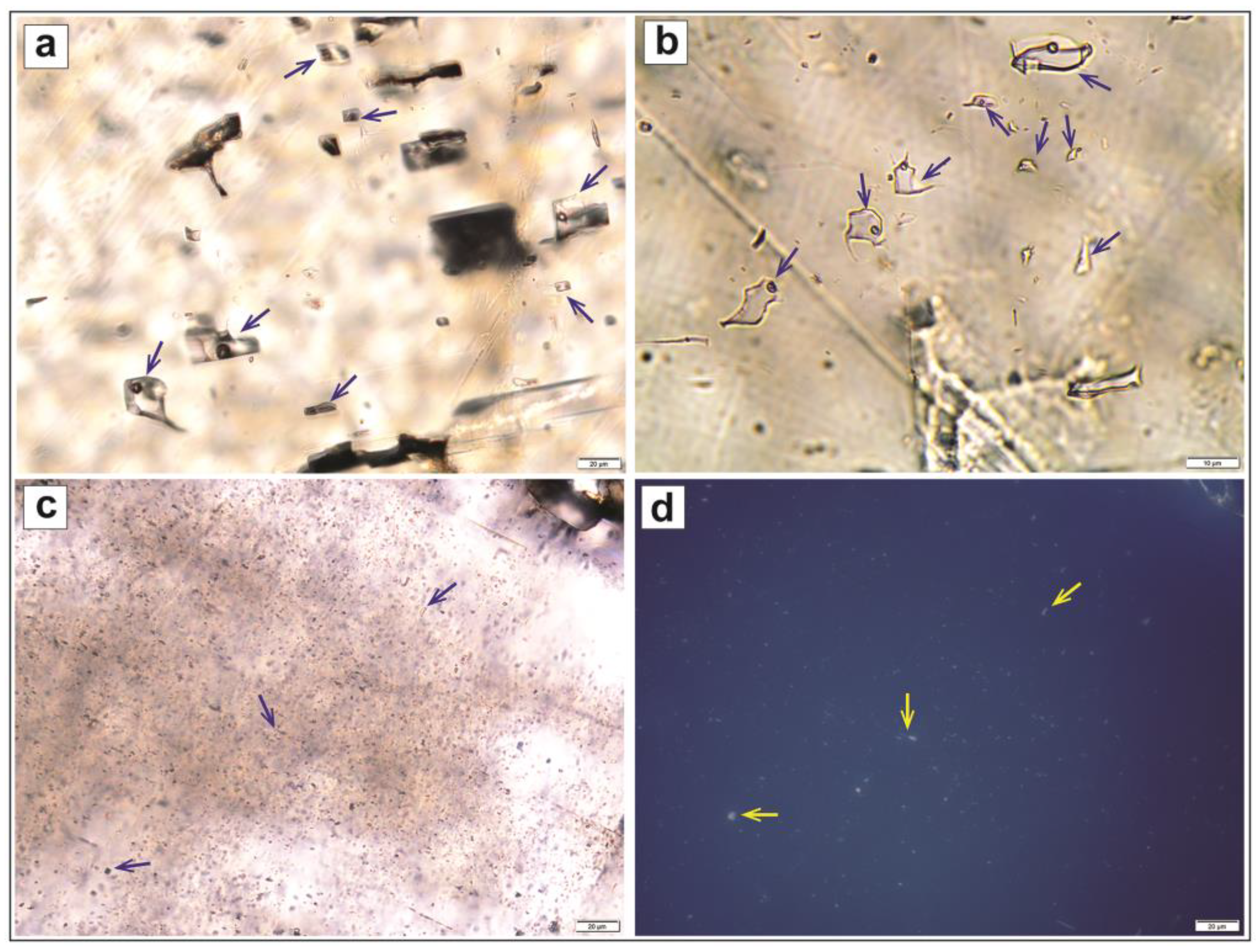 Preprints 175190 g007