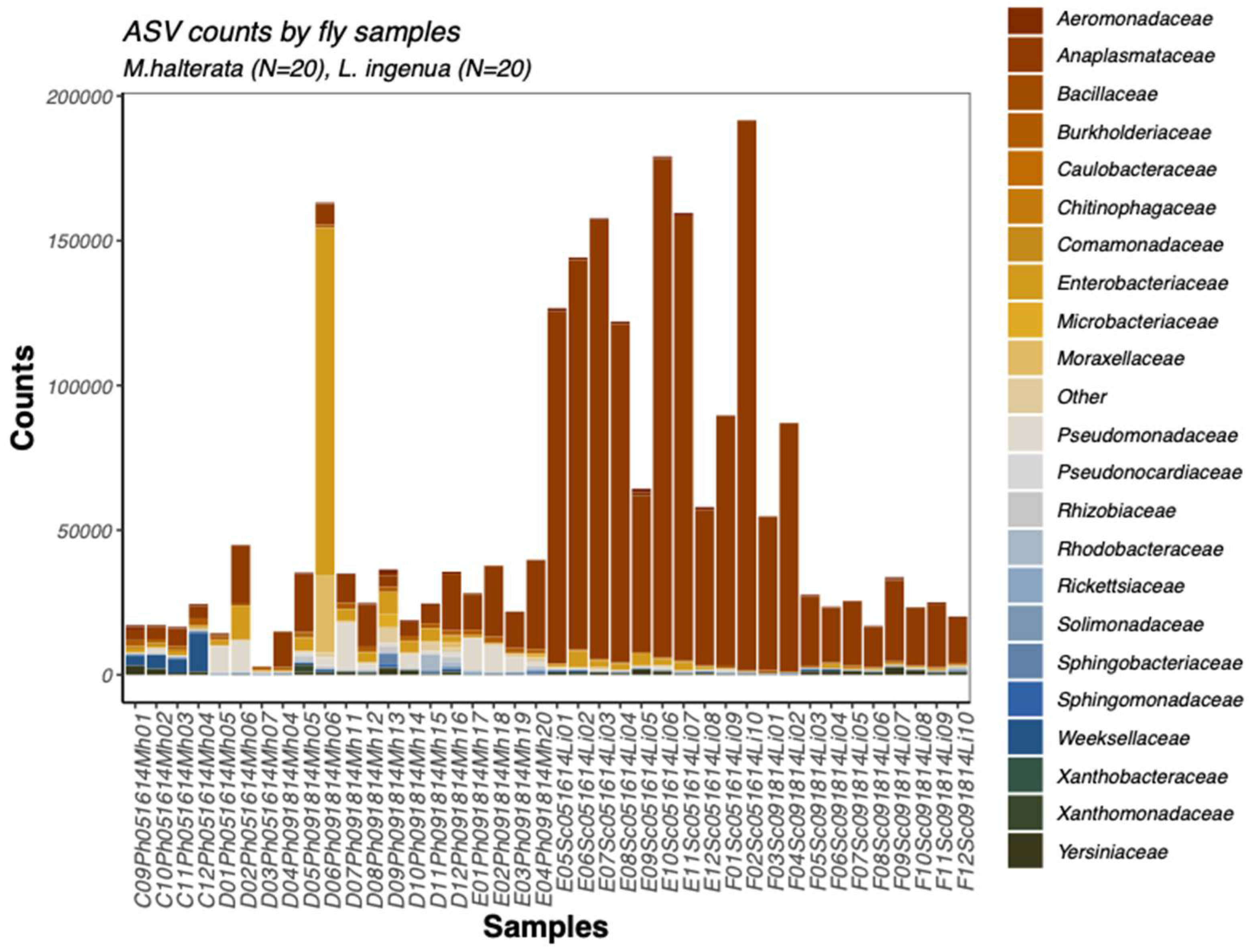 Preprints 107231 g001