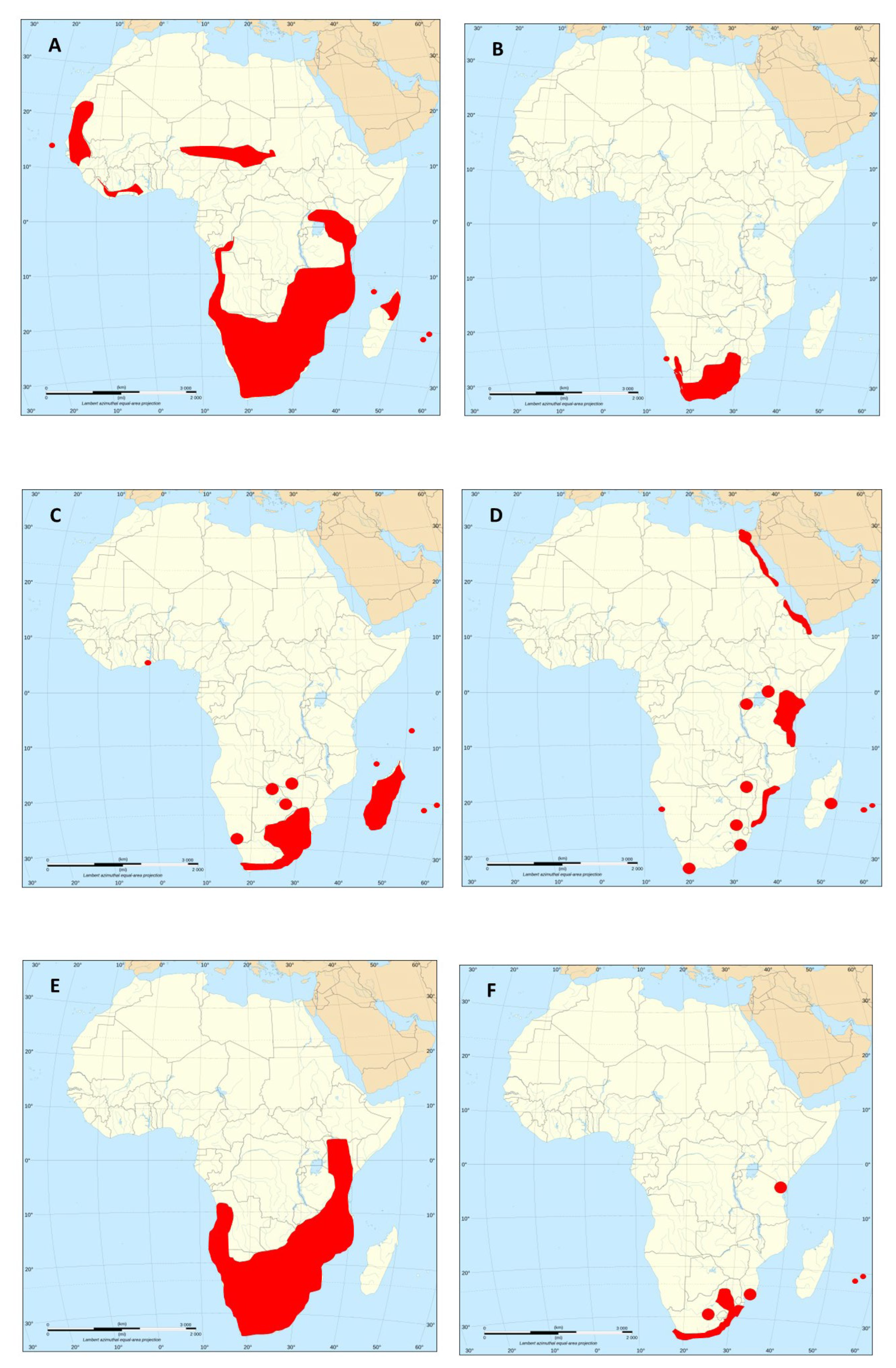 Preprints 147105 g001