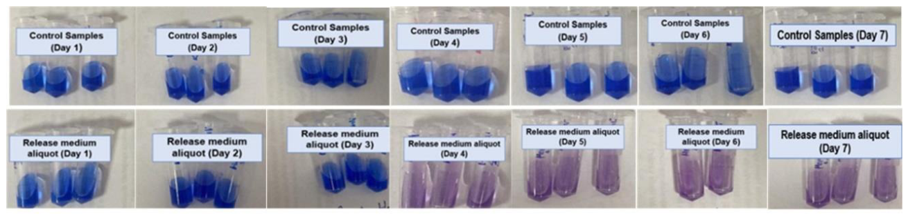 Preprints 220185 g008