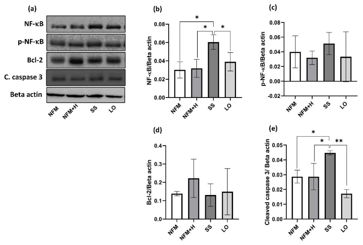 Preprints 220185 g017