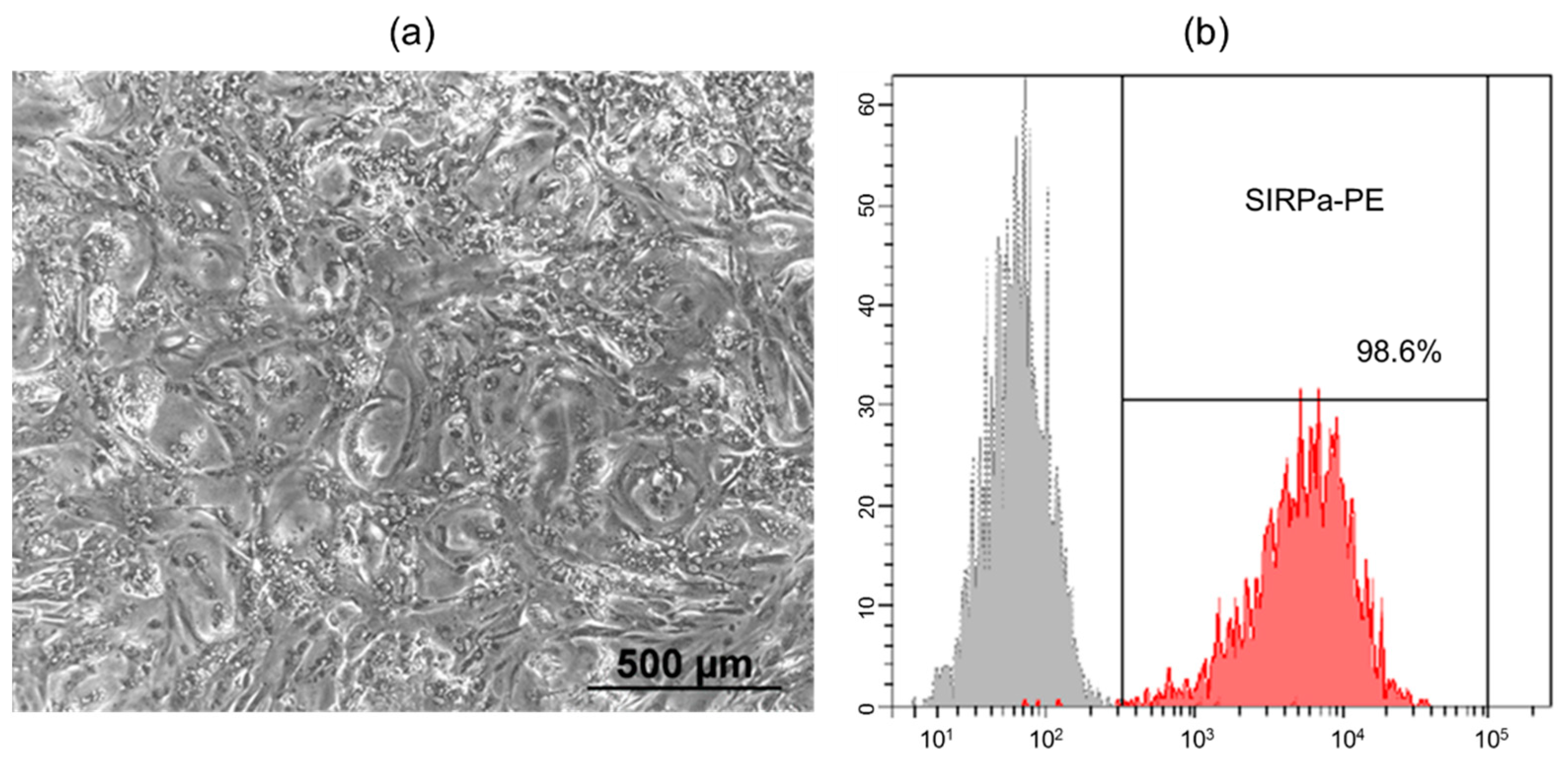 Preprints 71460 g001