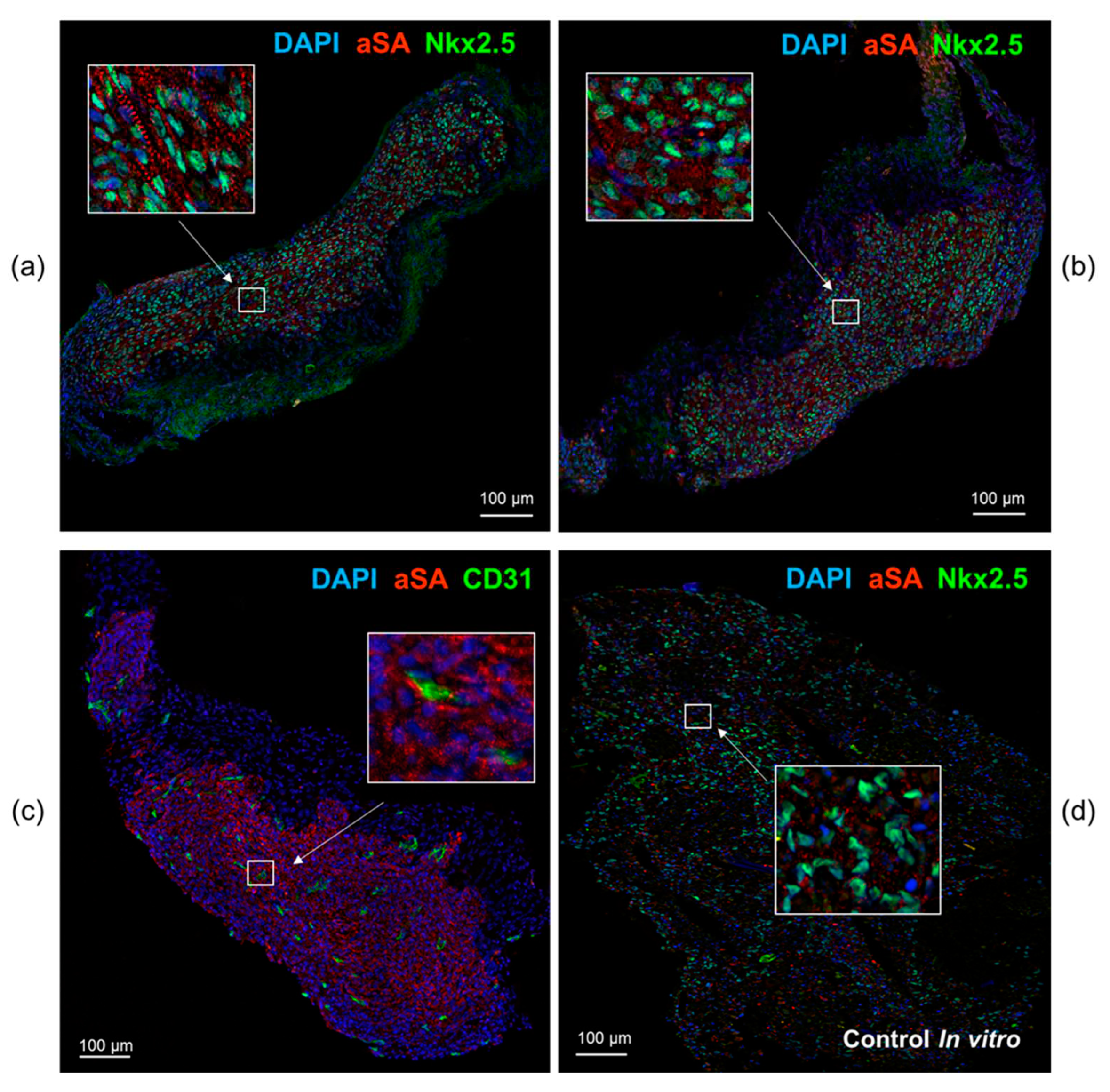 Preprints 71460 g005