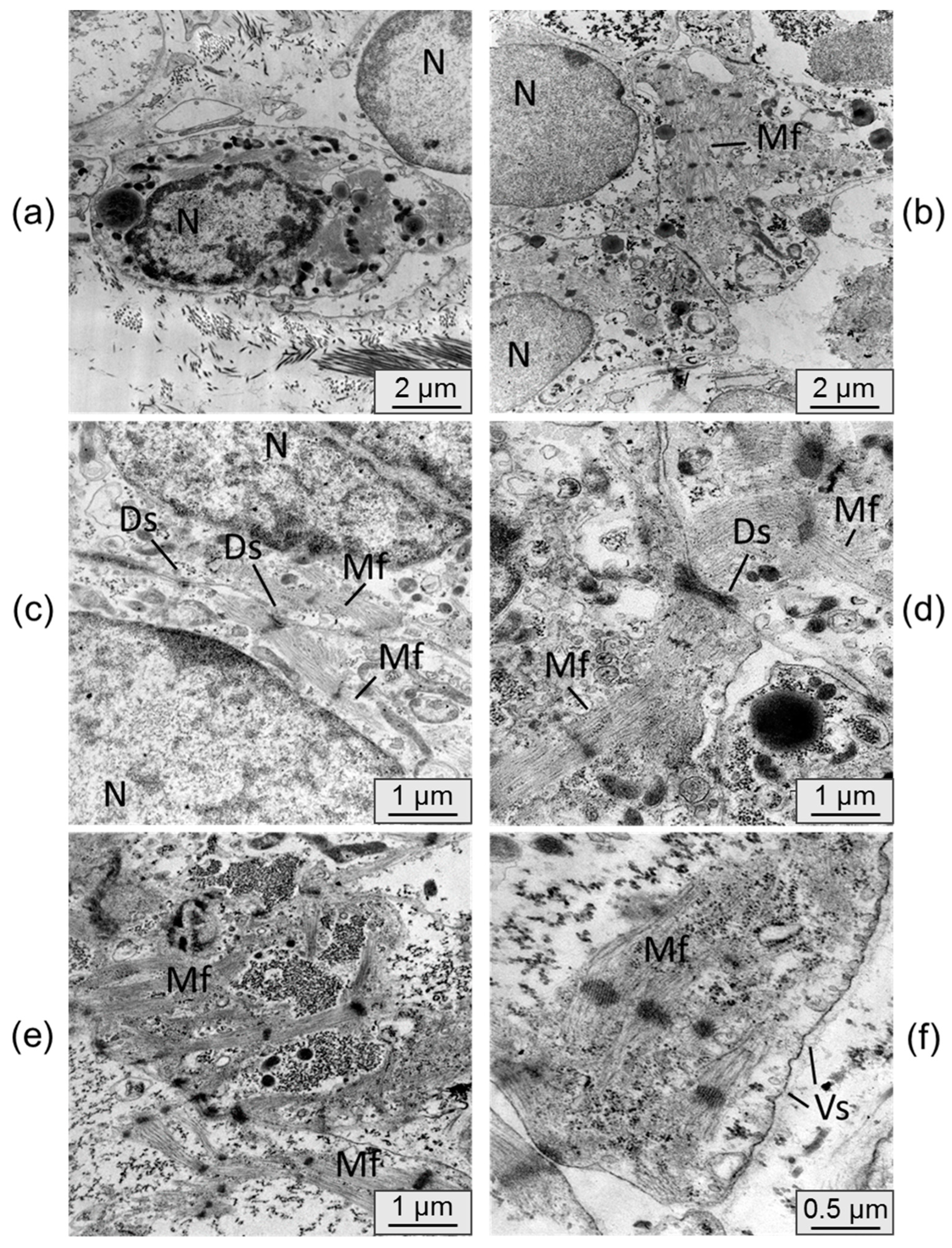 Preprints 71460 g007