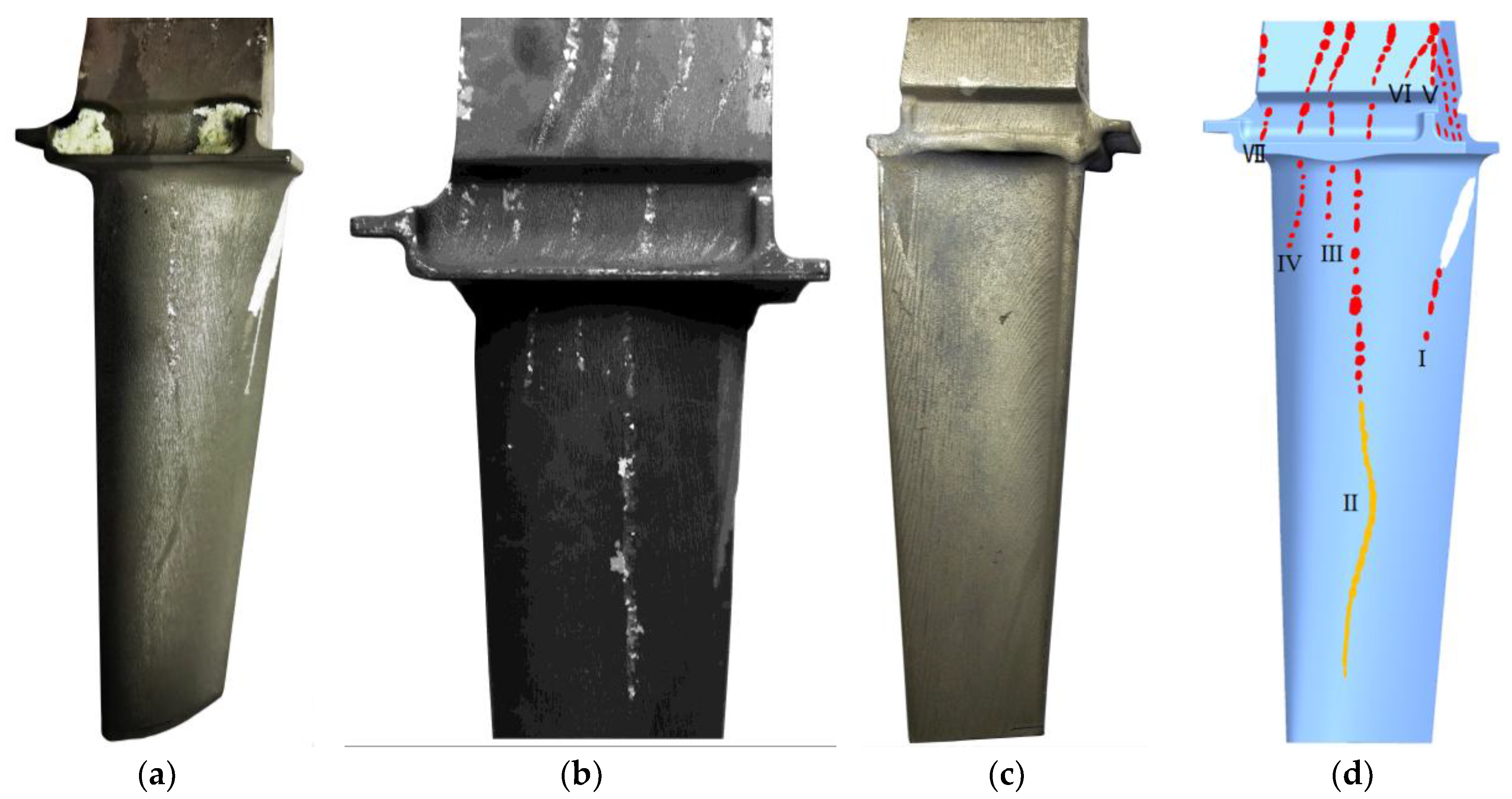 Preprints 202161 g005
