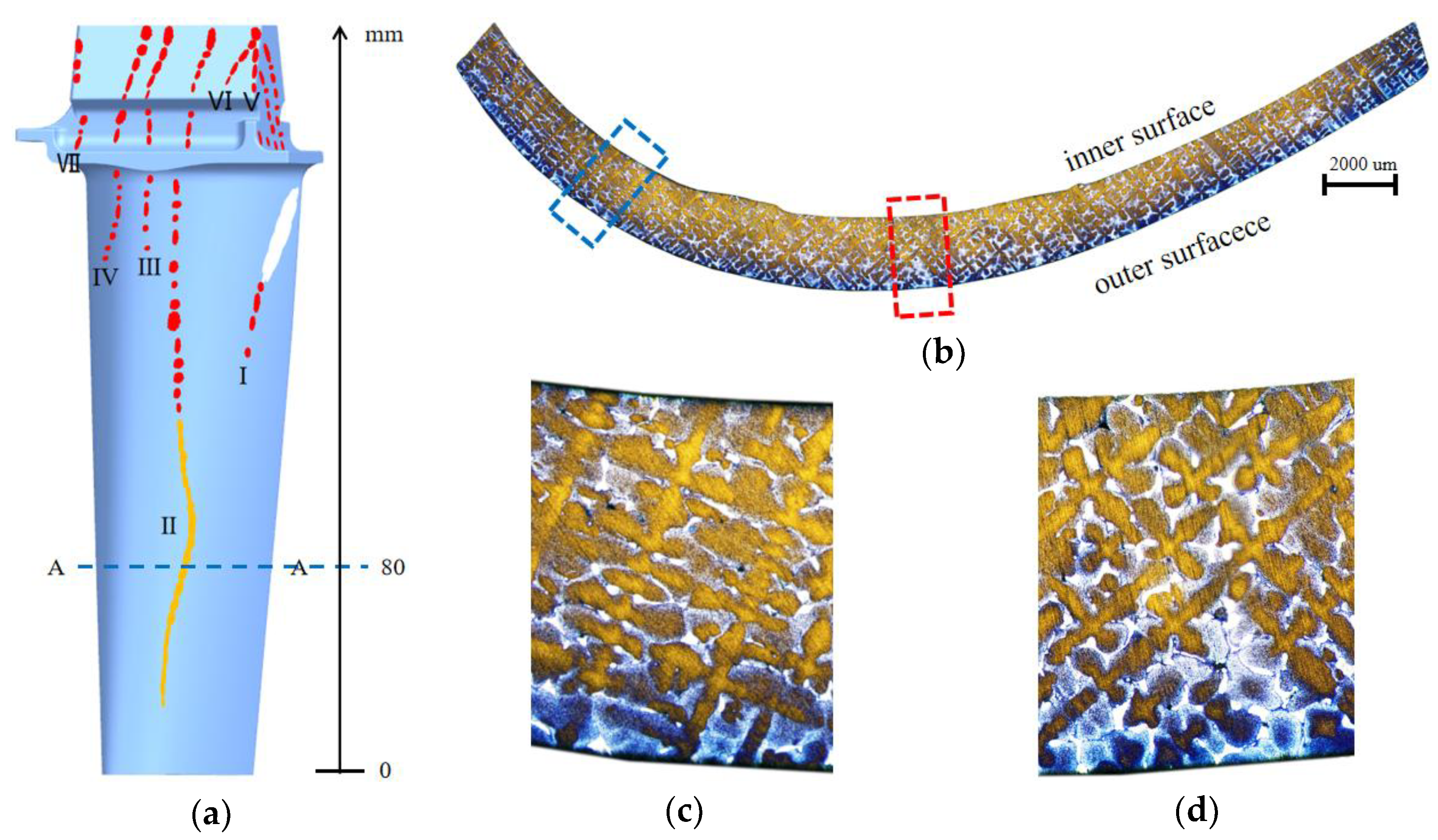 Preprints 202161 g006