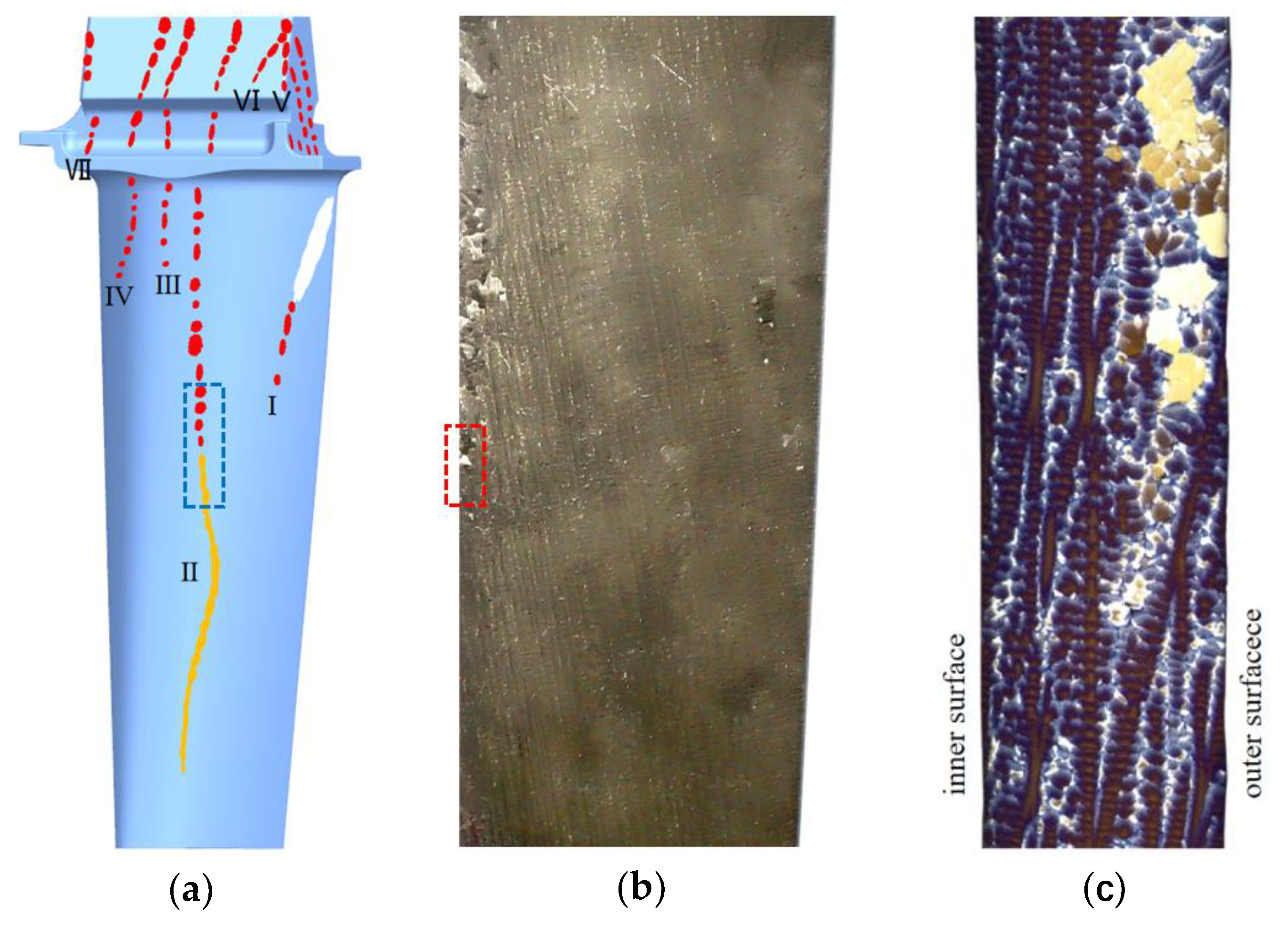 Preprints 202161 g007
