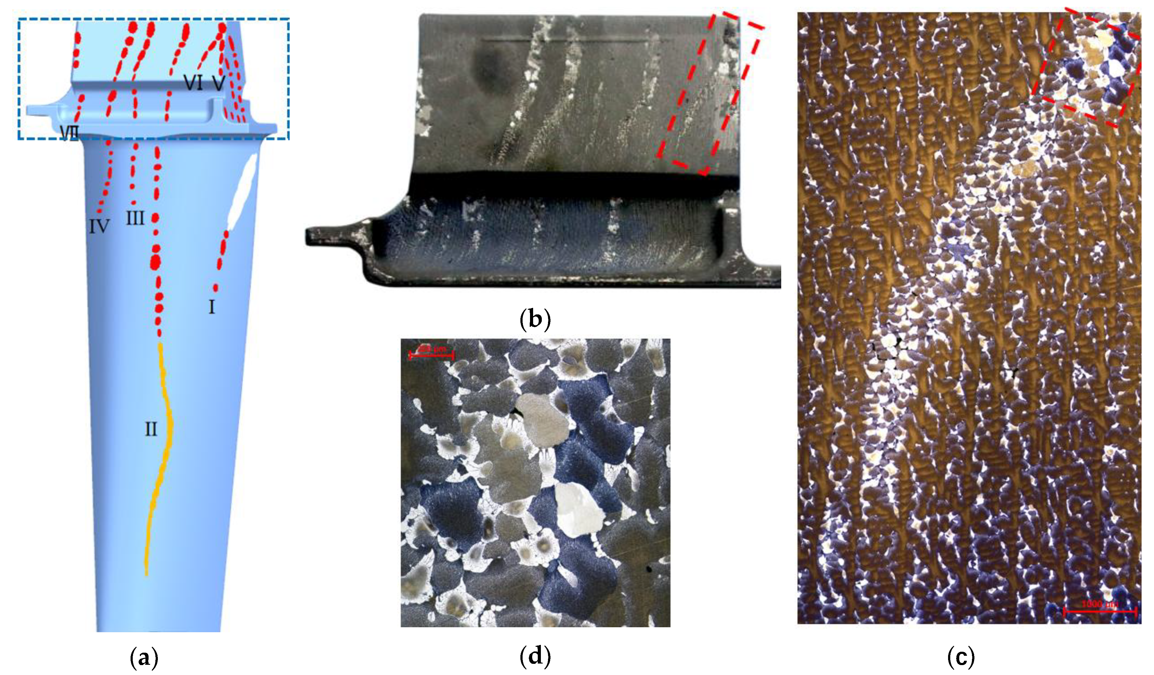 Preprints 202161 g008