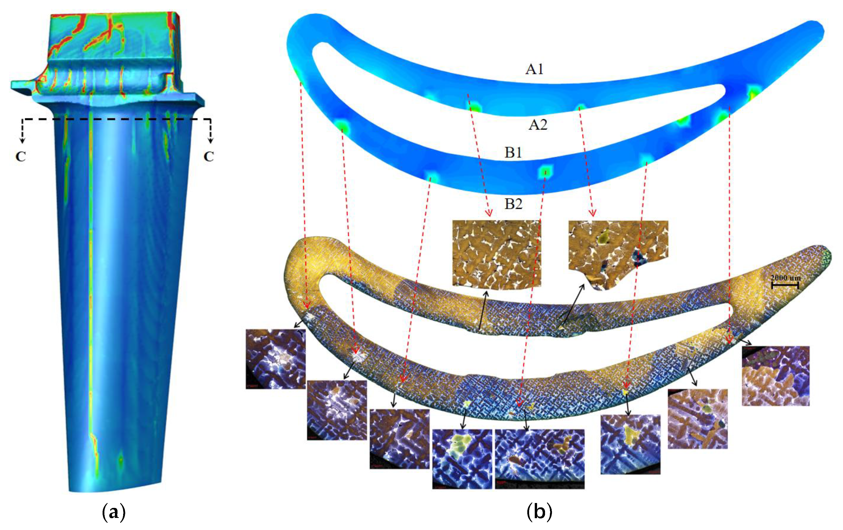 Preprints 202161 g015