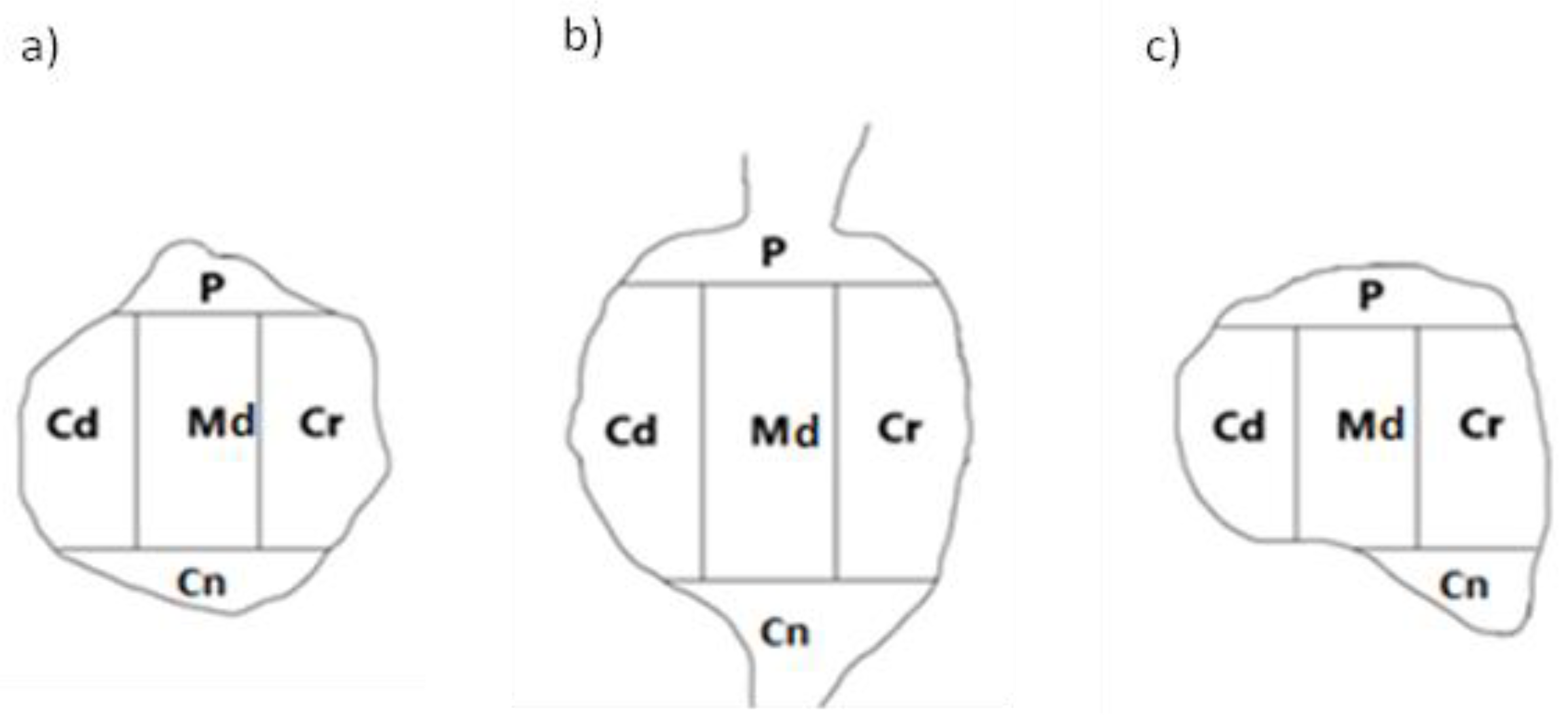 Preprints 151252 g002