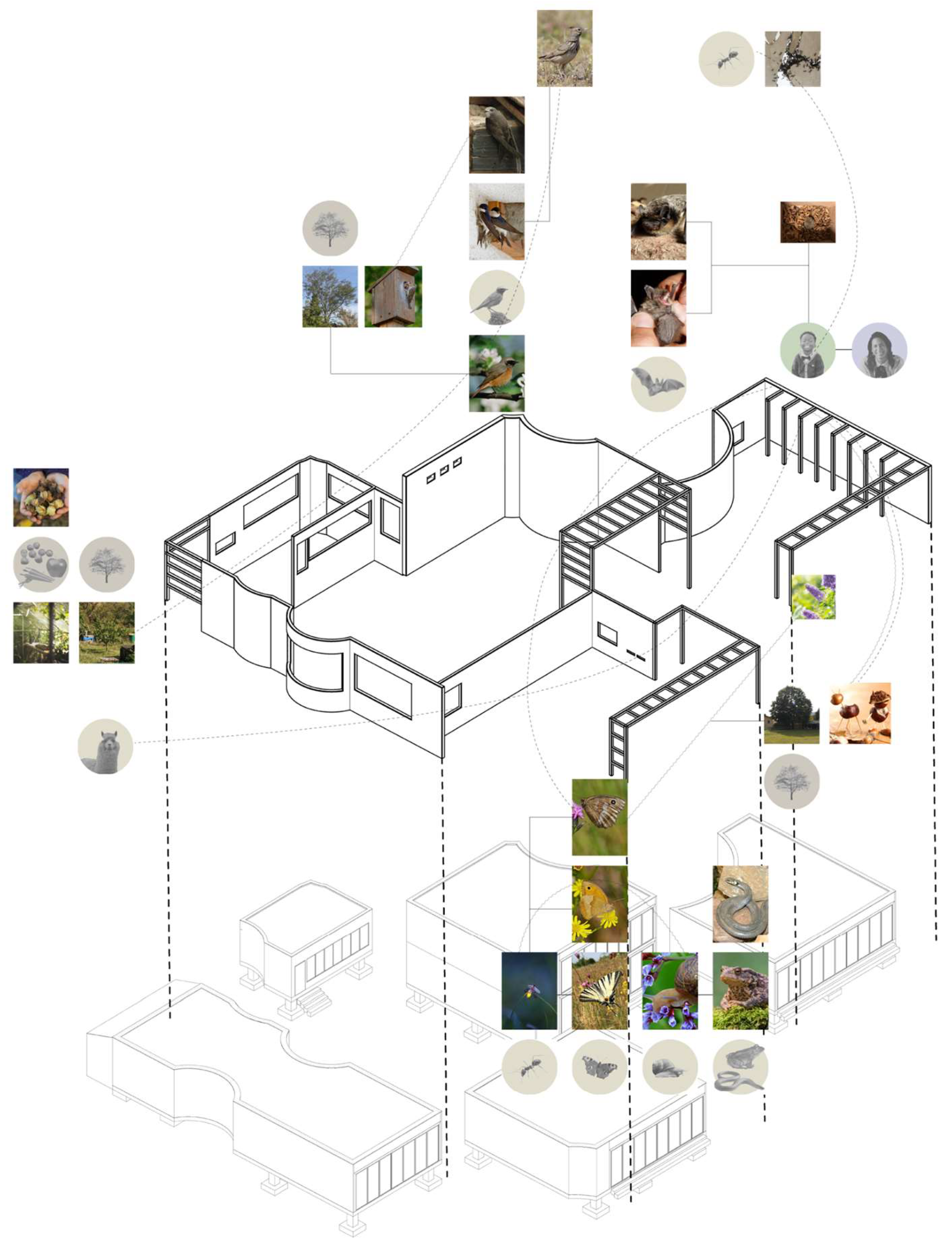 Preprints 152006 g015