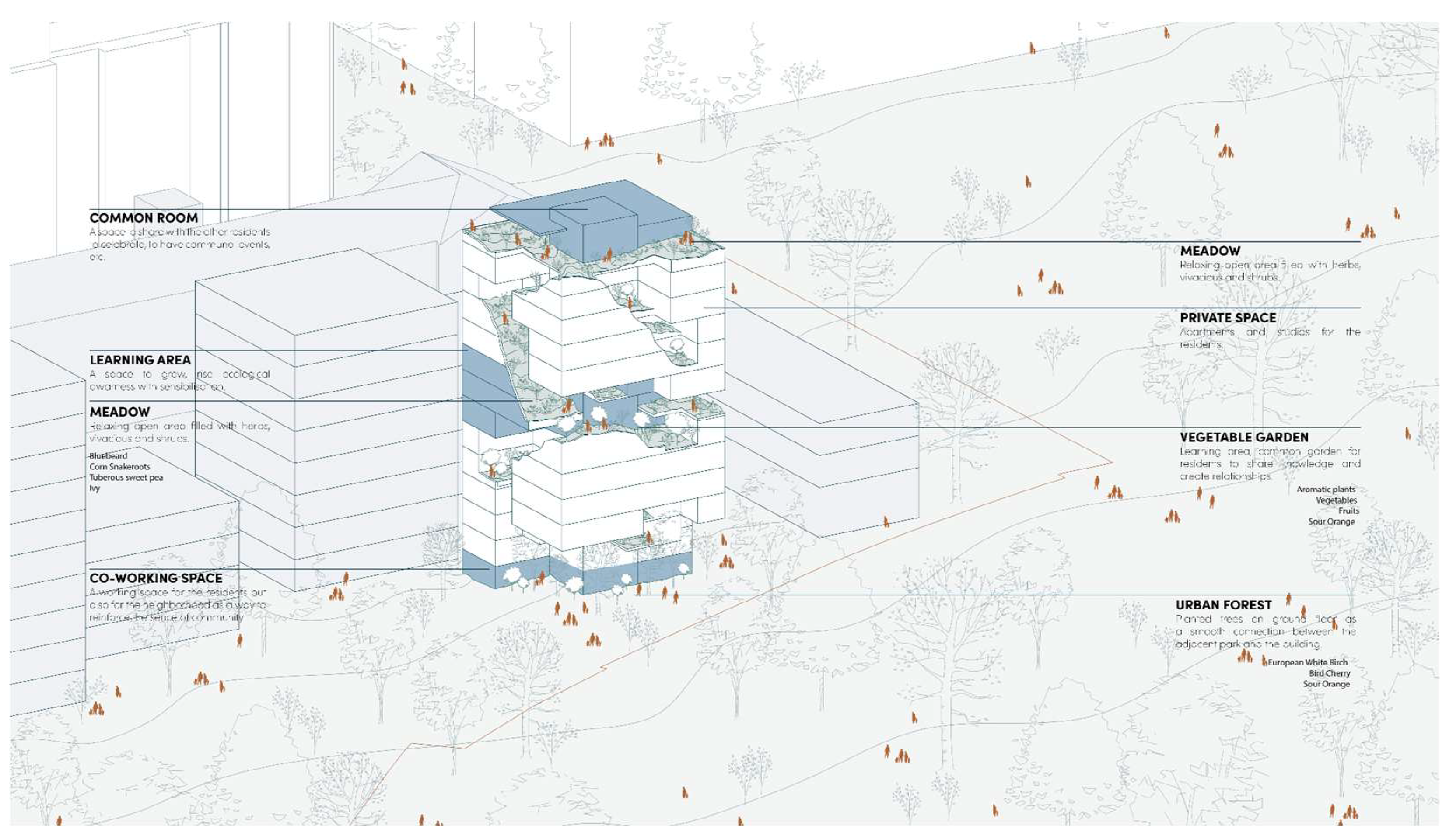 Preprints 152006 g019