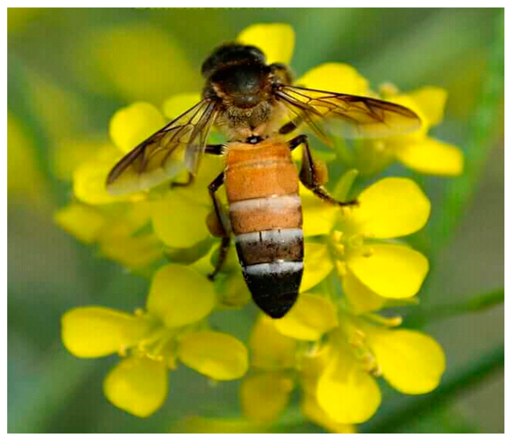 Preprints 153860 g004