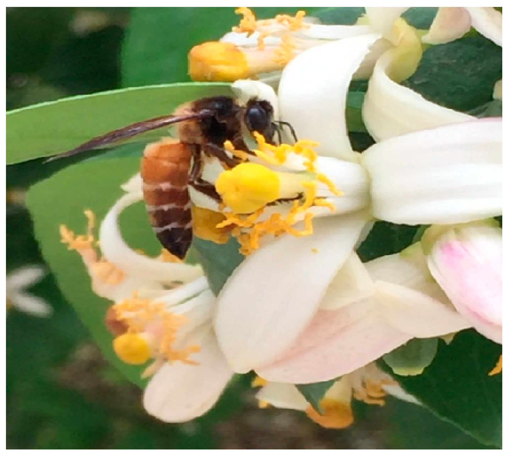 Preprints 153860 g005