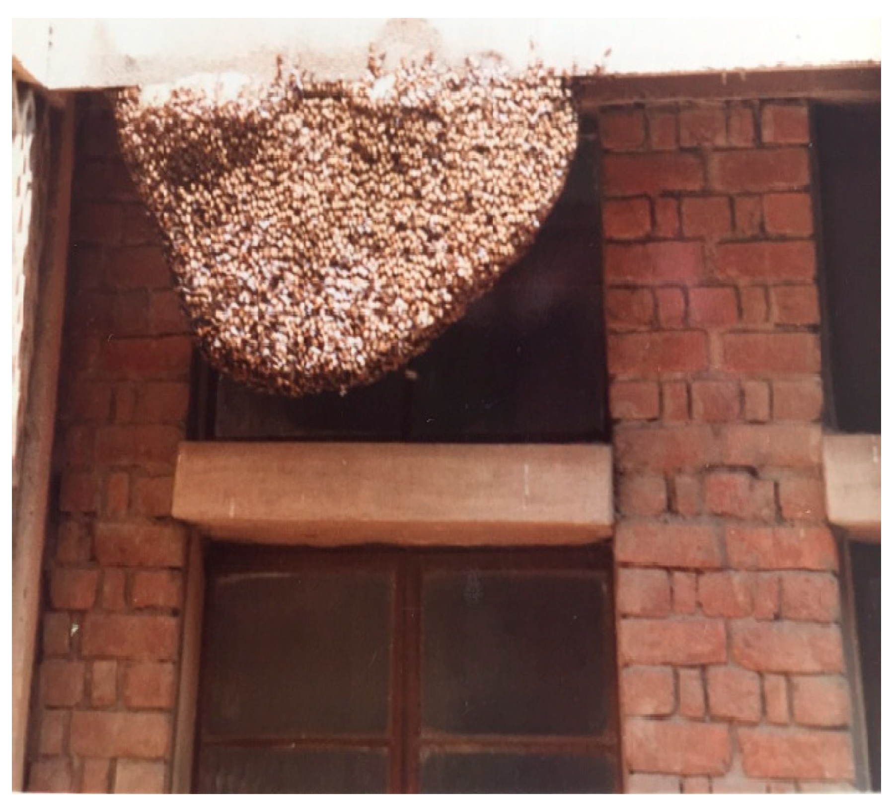 Preprints 153860 g006