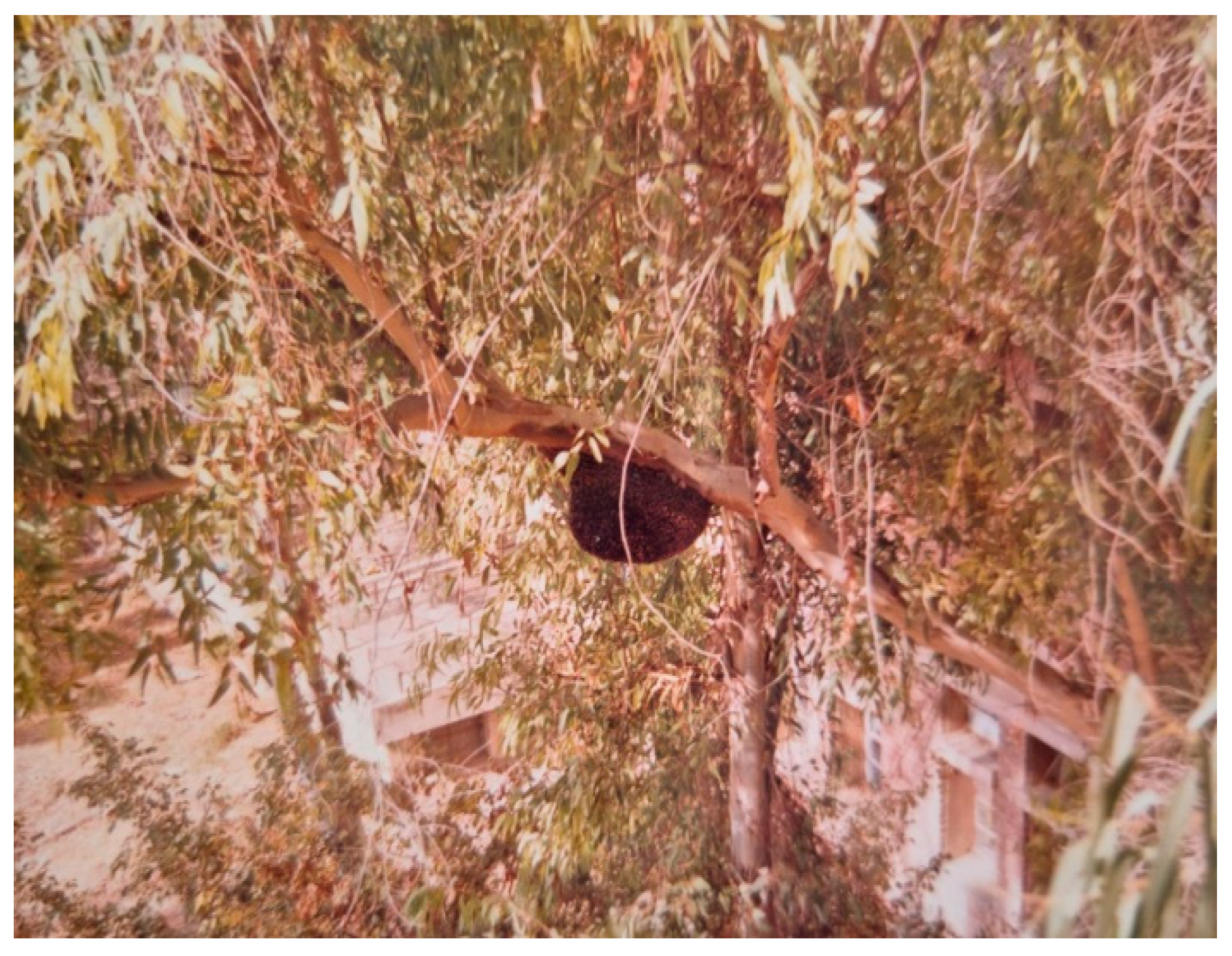 Preprints 153860 g008