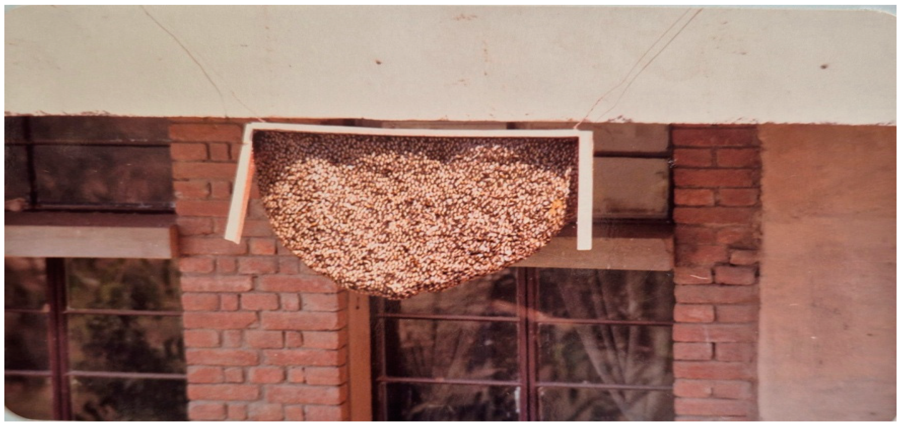 Preprints 153860 g010