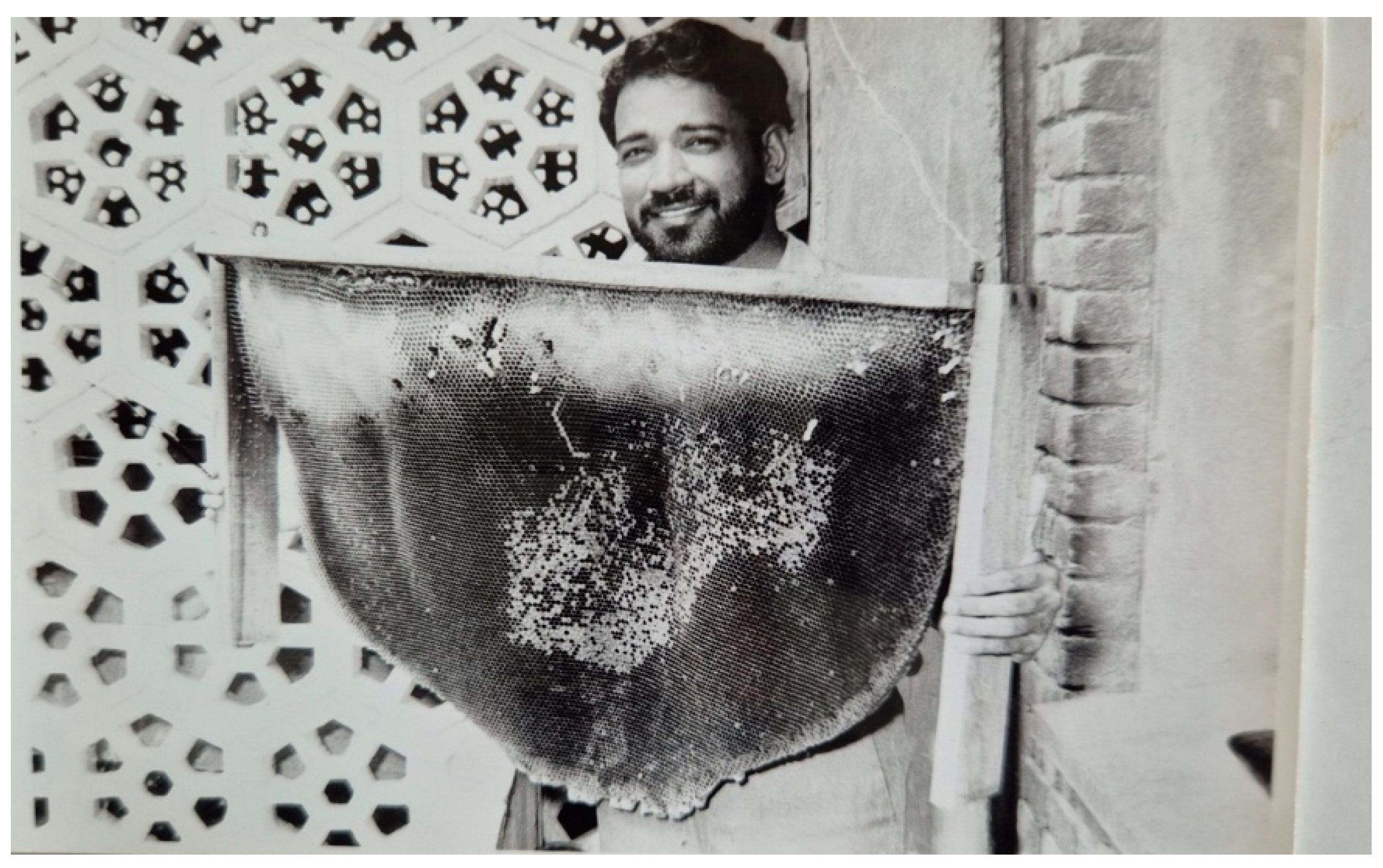 Preprints 153860 g012