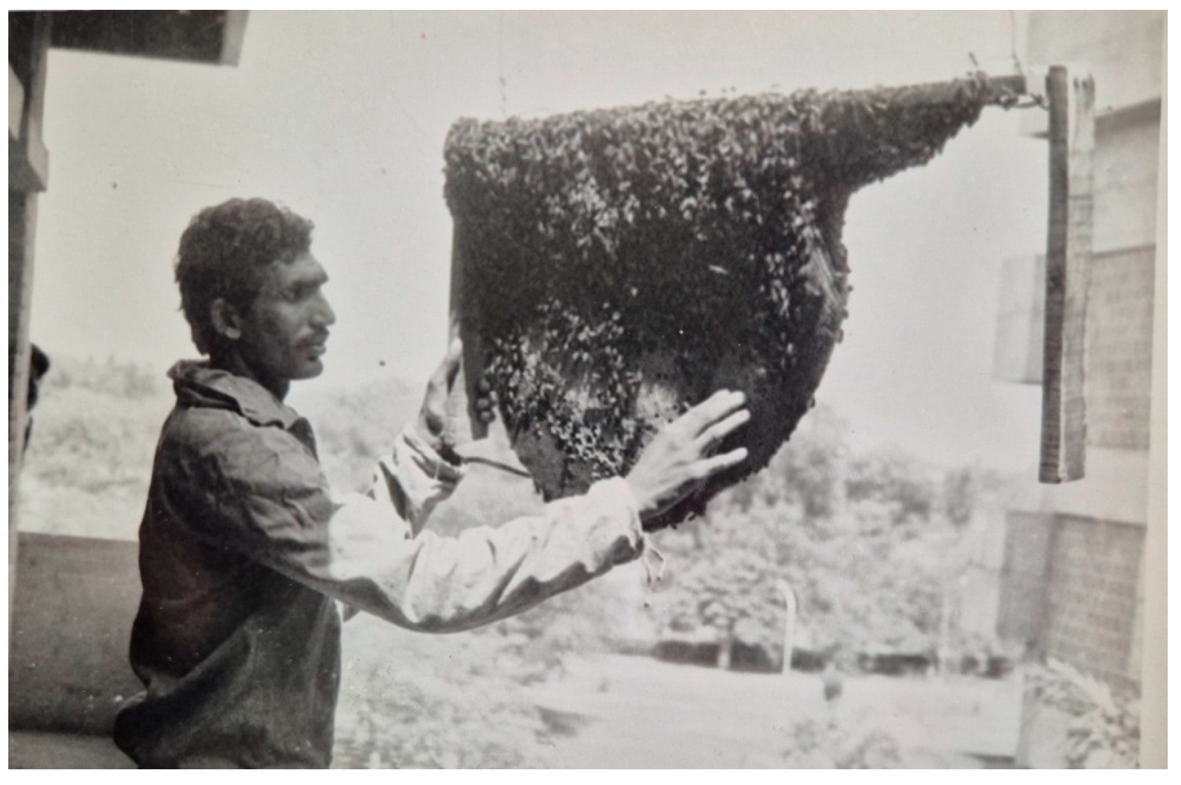 Preprints 153860 g014